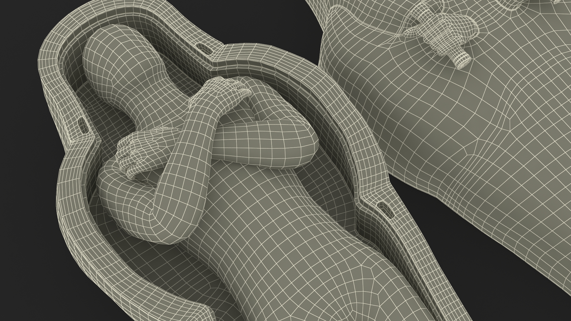 Mummy in the Sarcophagus 3D model