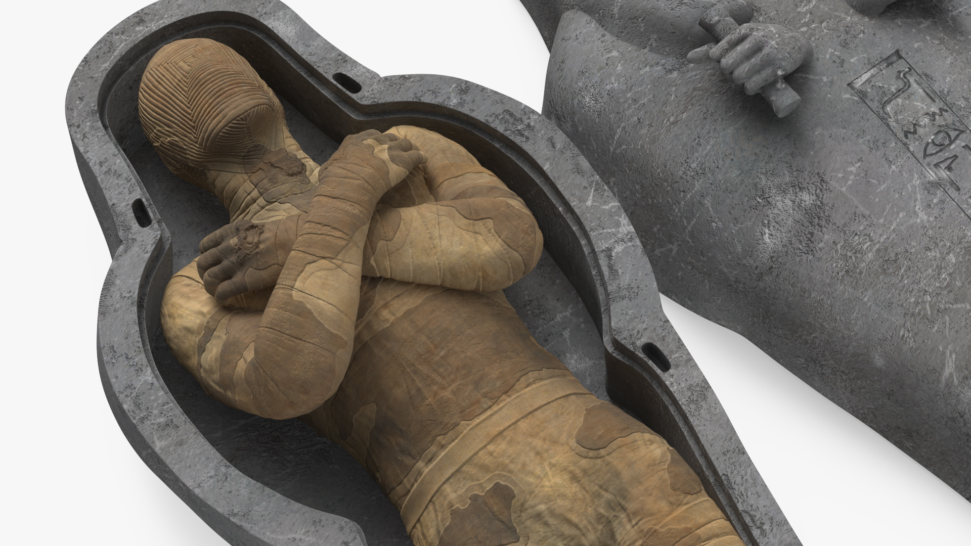 Mummy in the Sarcophagus 3D model