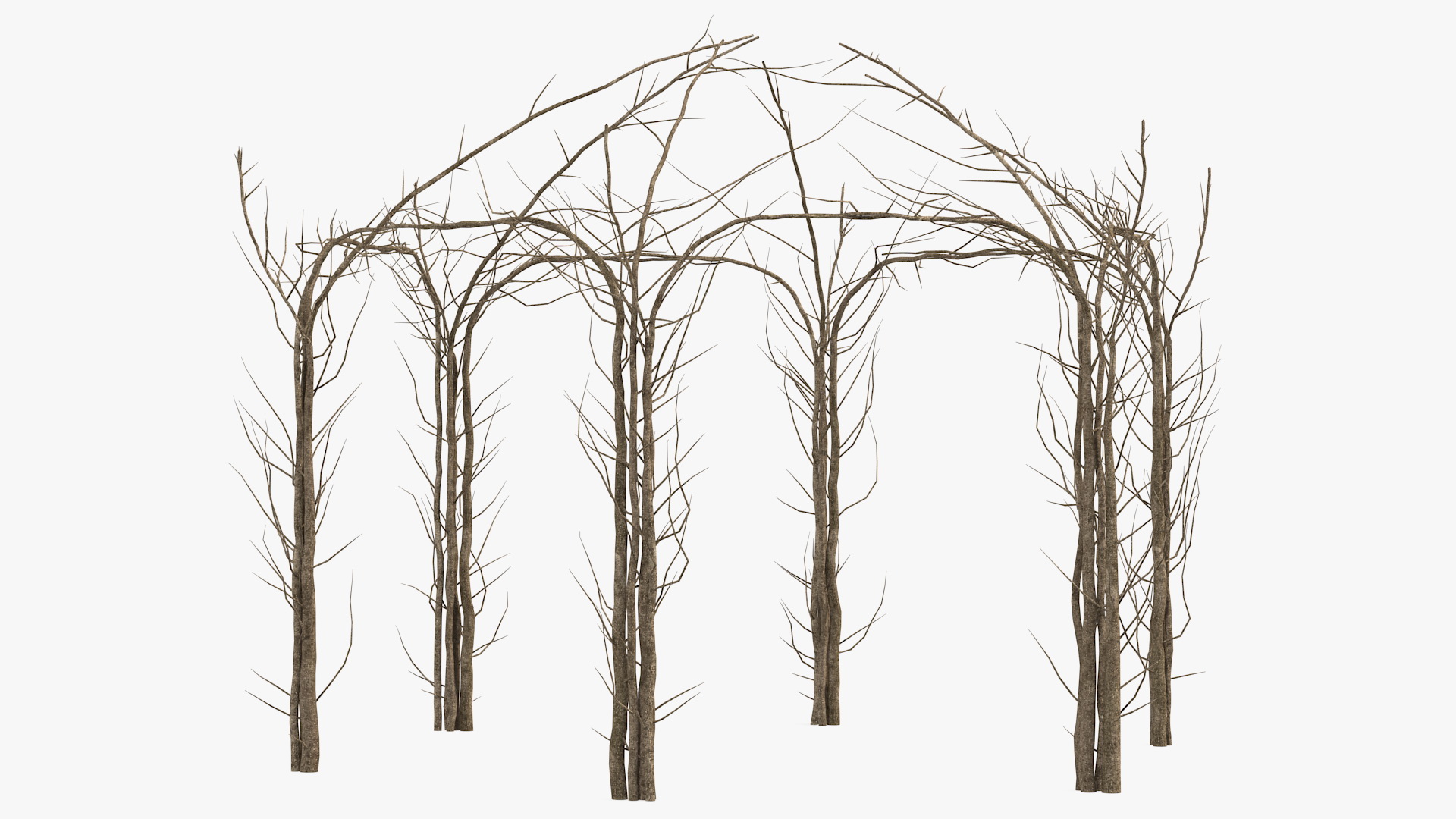 3D Twig Gazebo