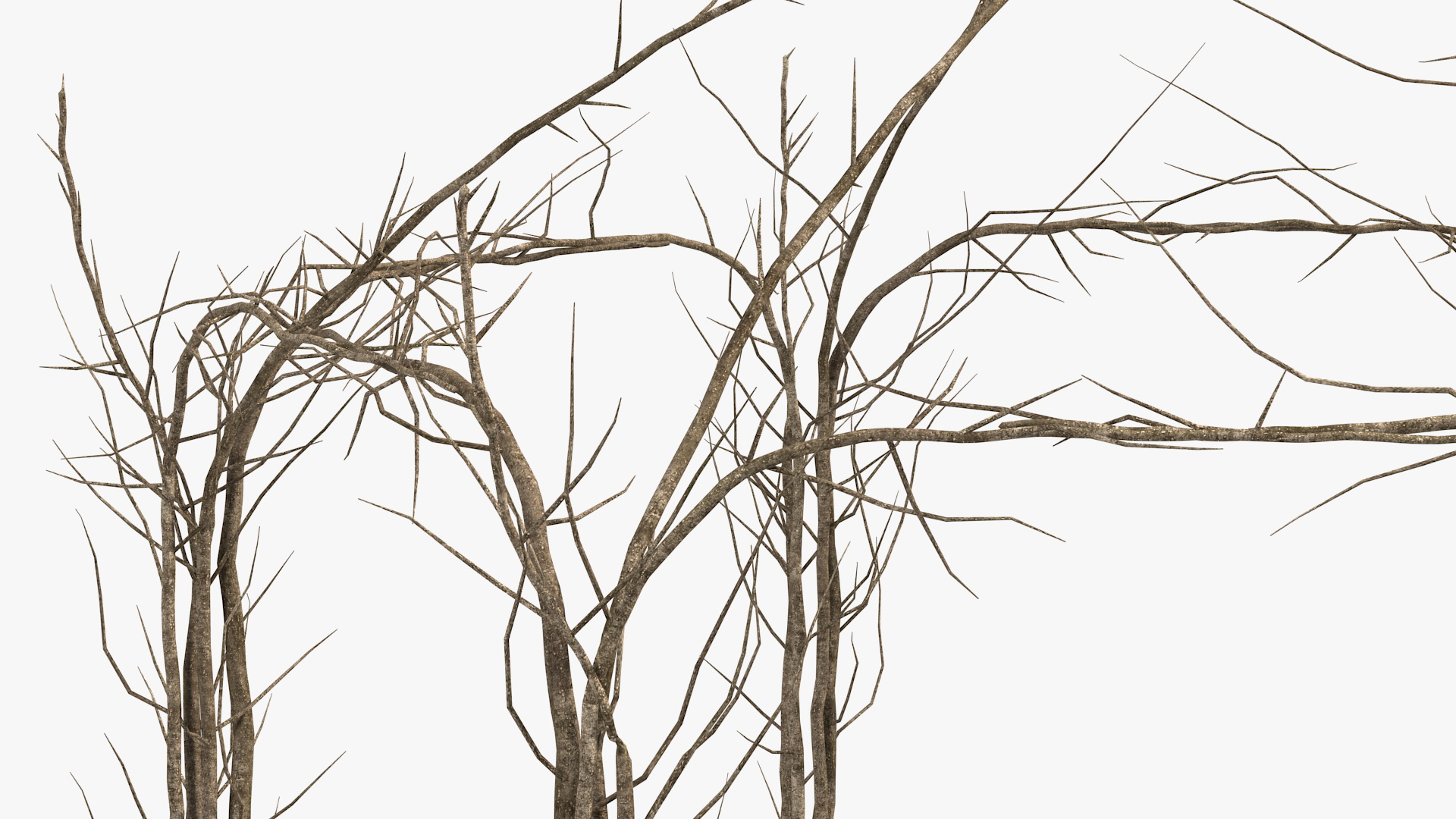 3D Twig Gazebo