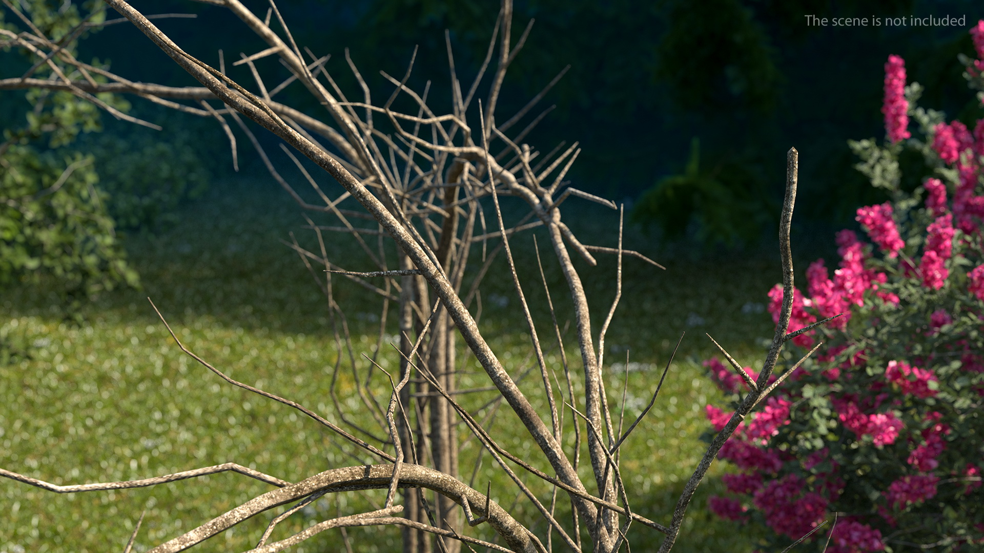 3D Twig Gazebo