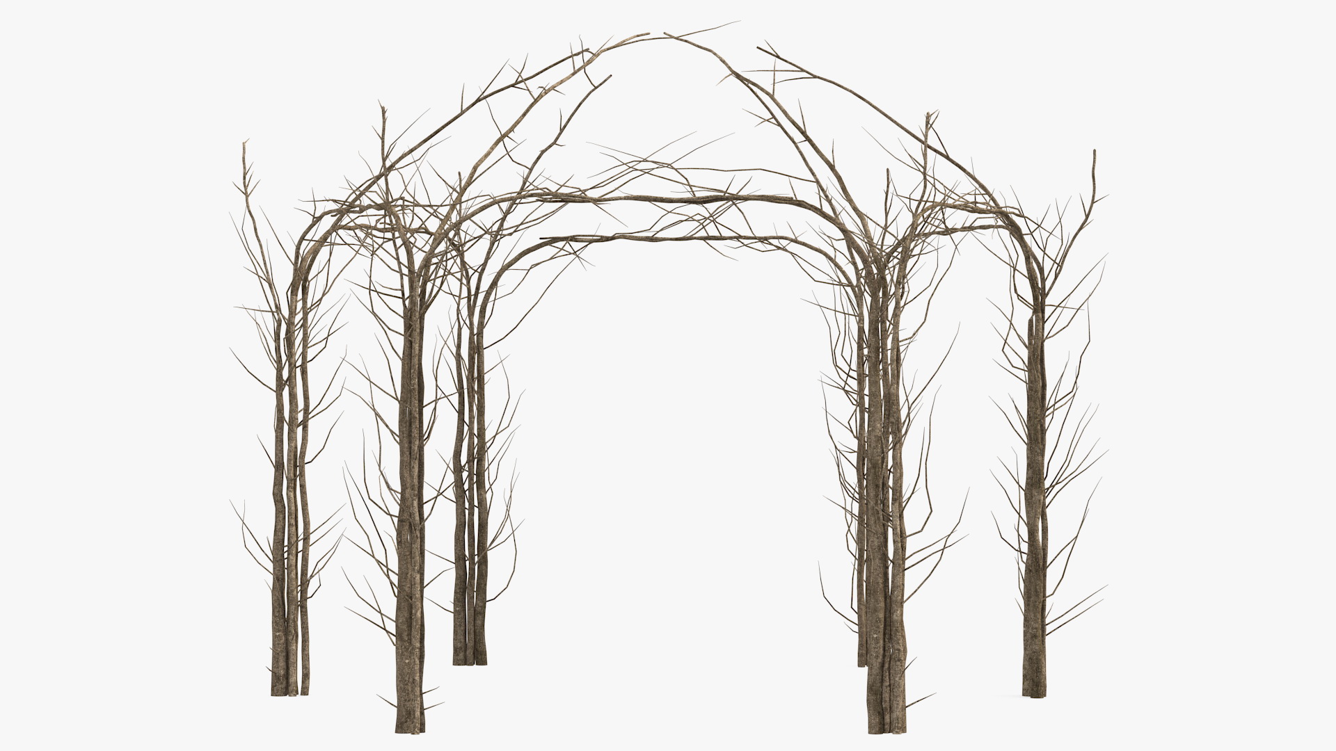 3D Twig Gazebo