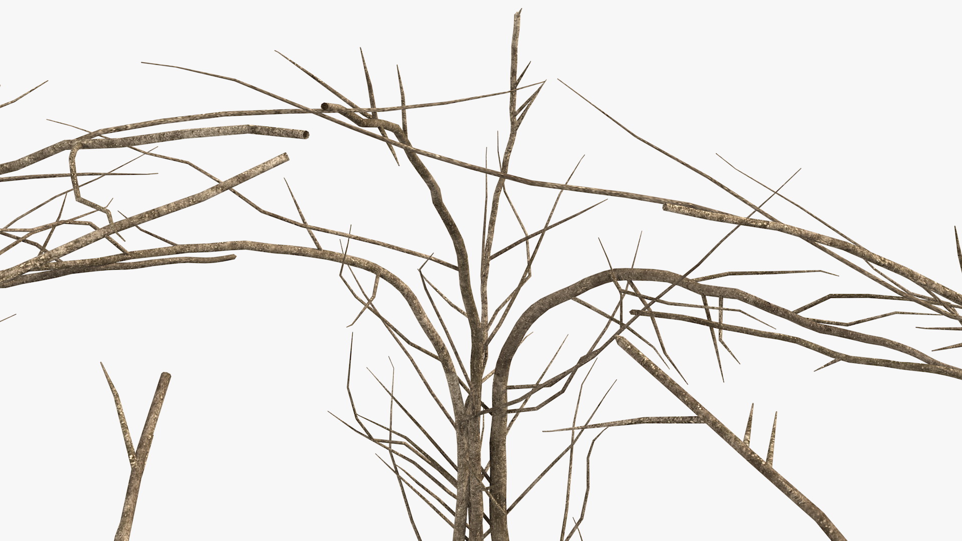 3D Twig Gazebo