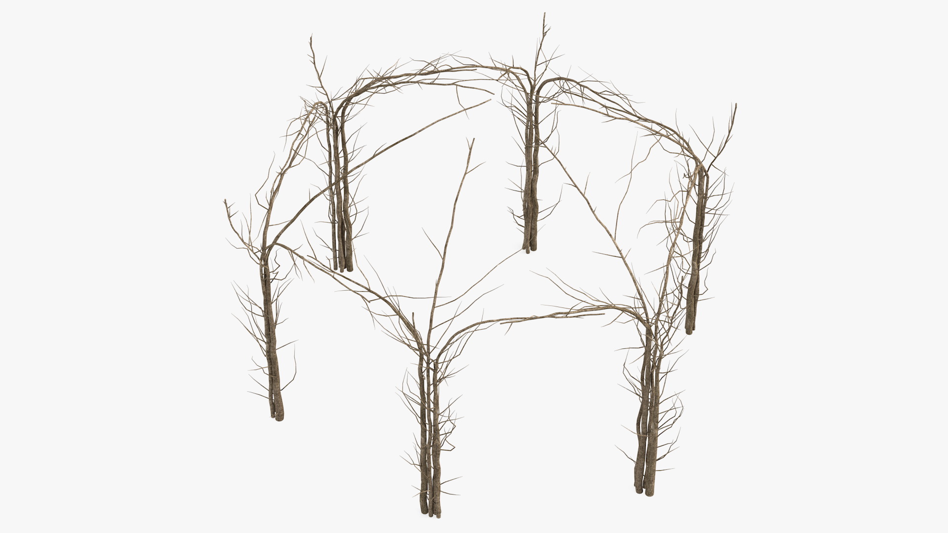 3D Twig Gazebo