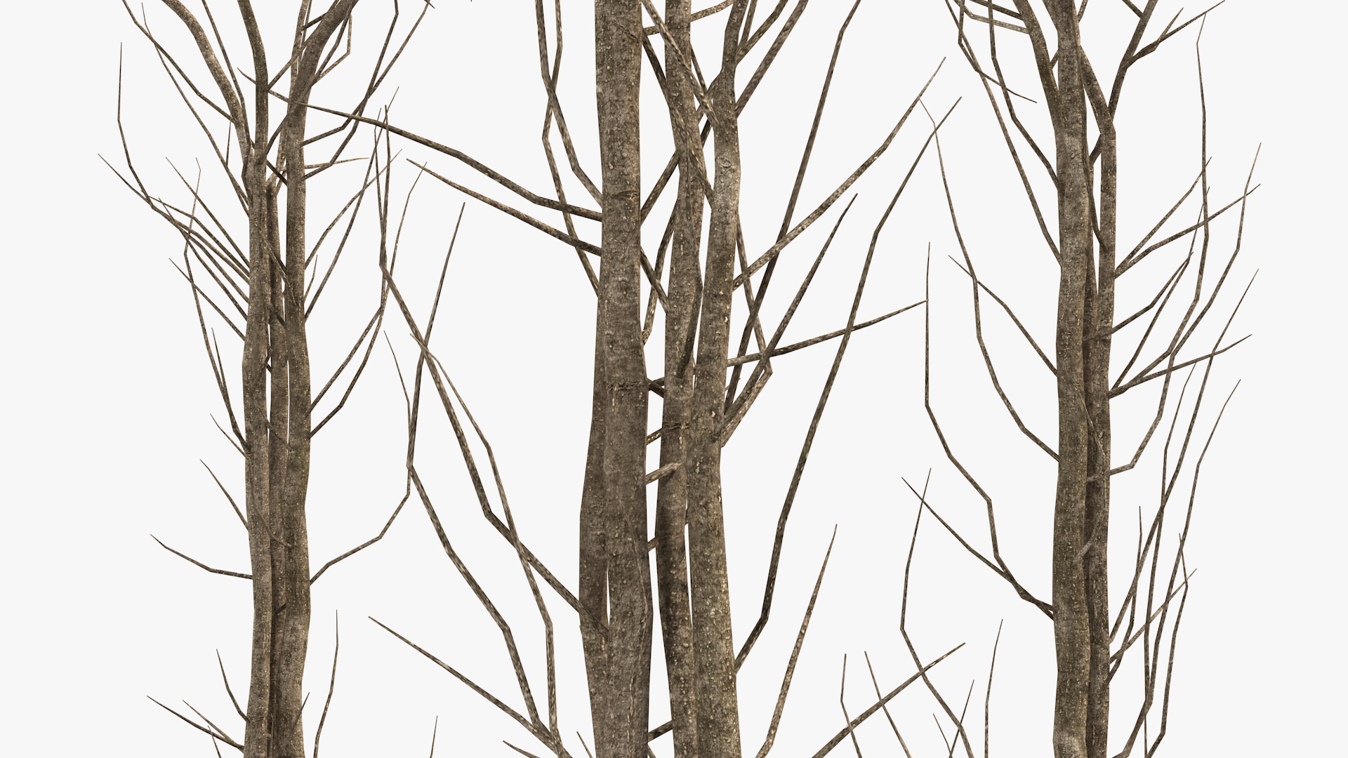 3D Twig Gazebo