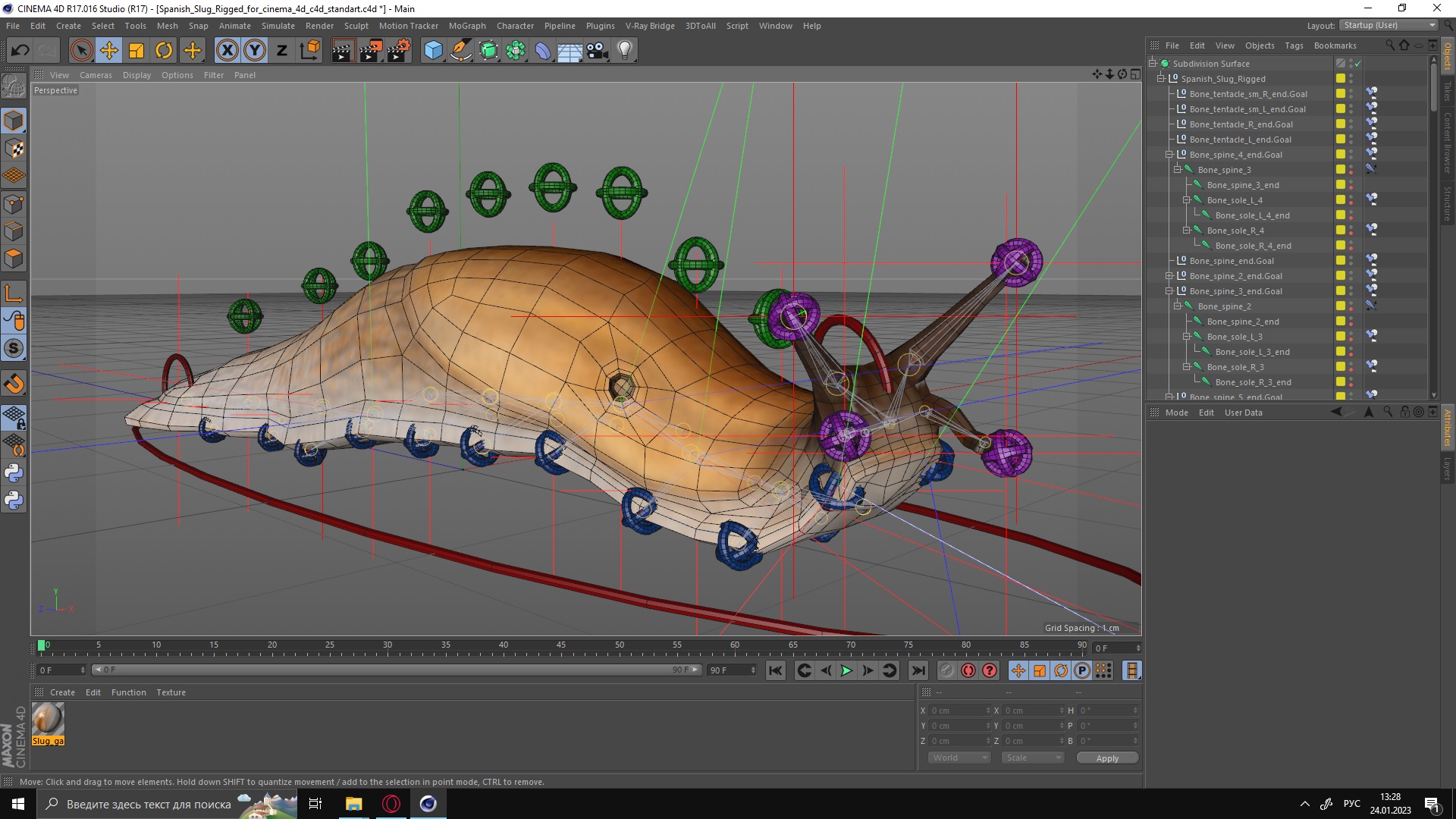 3D Spanish Slug Rigged for Cinema 4D model
