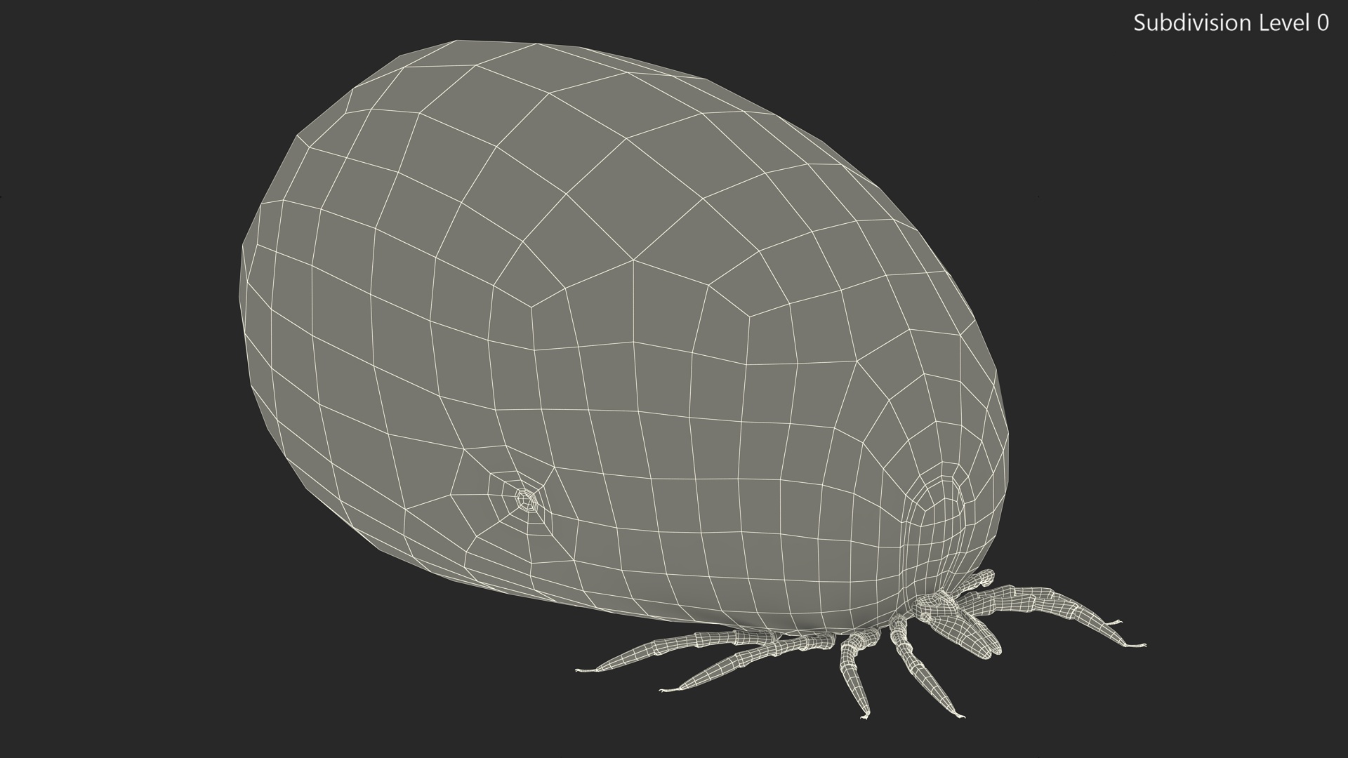 3D Swollen Tick Fur