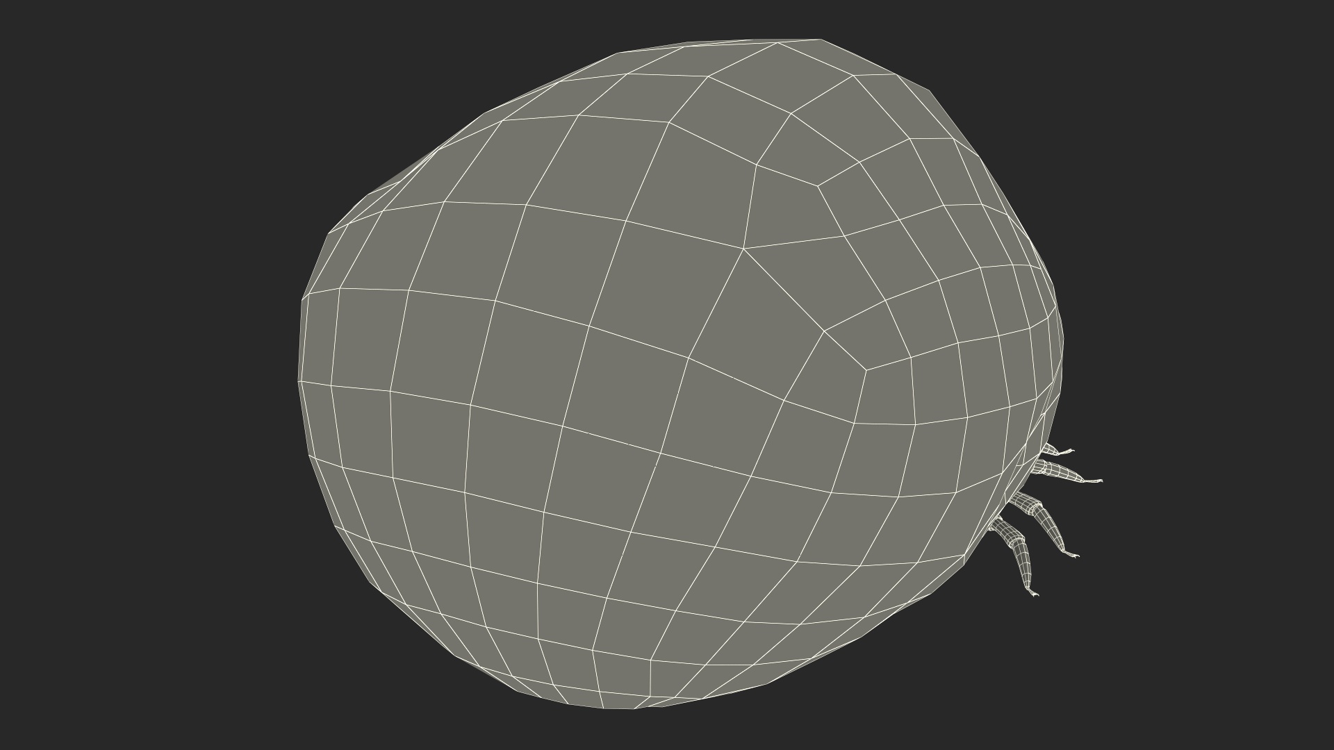 3D Swollen Tick Fur