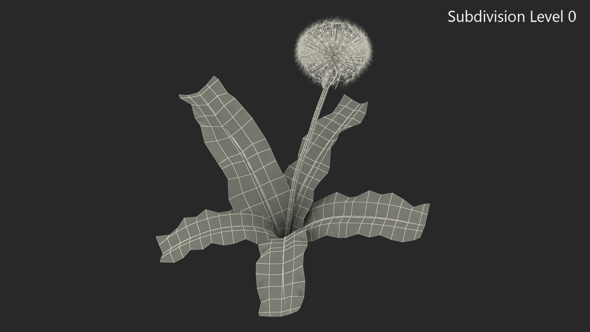 3D model Ripe Dandelion Plant