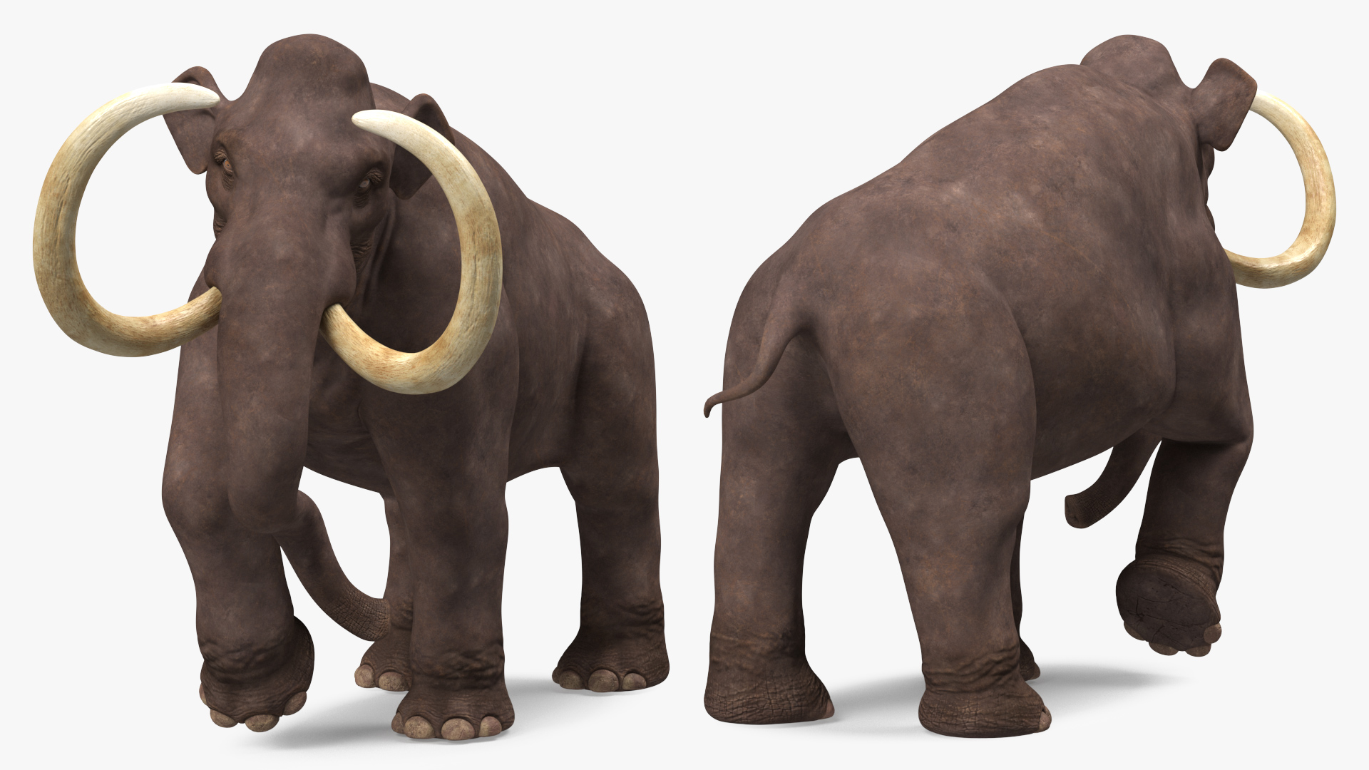 3D model Mammoth Walking Pose