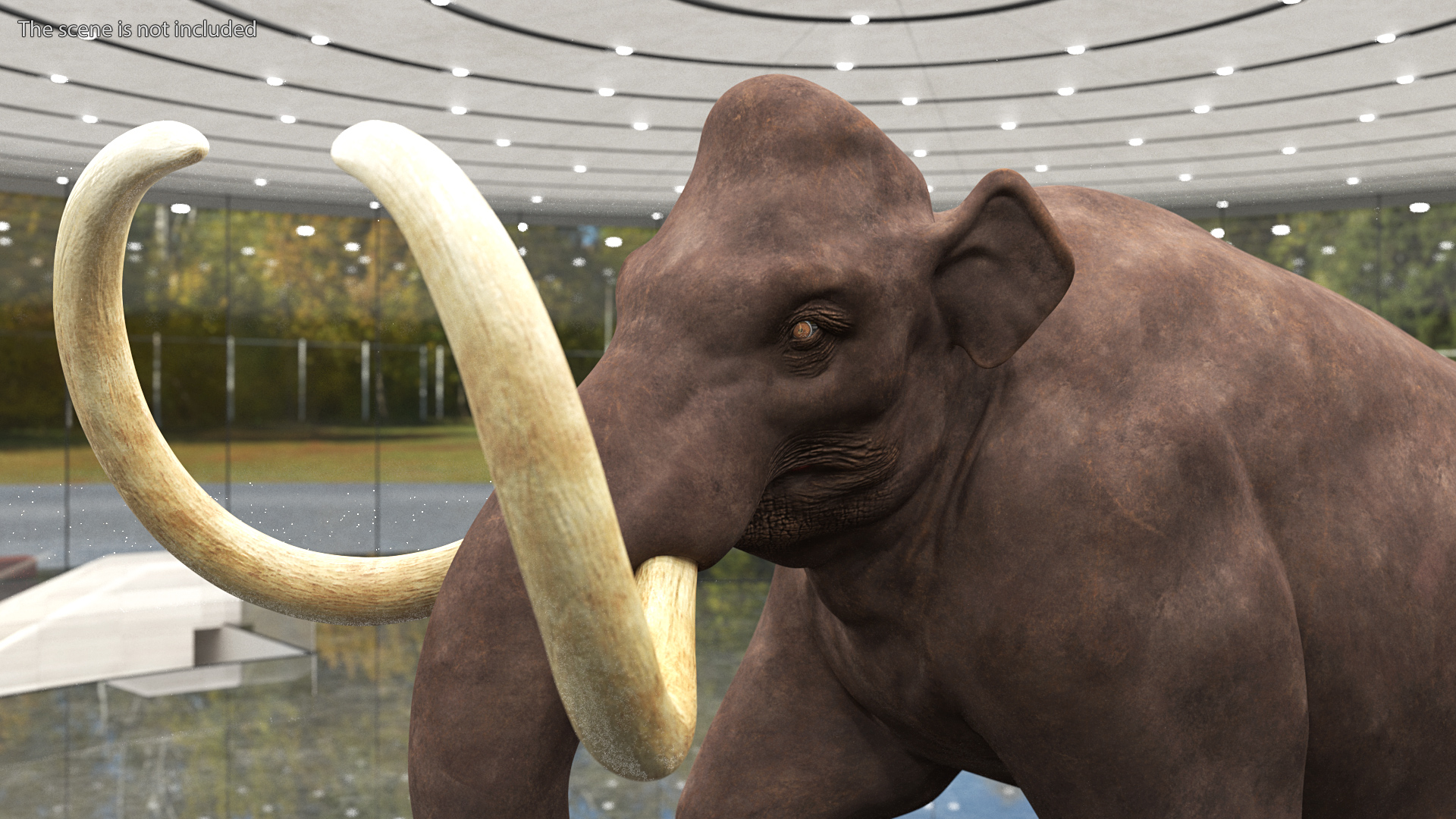 3D model Mammoth Walking Pose