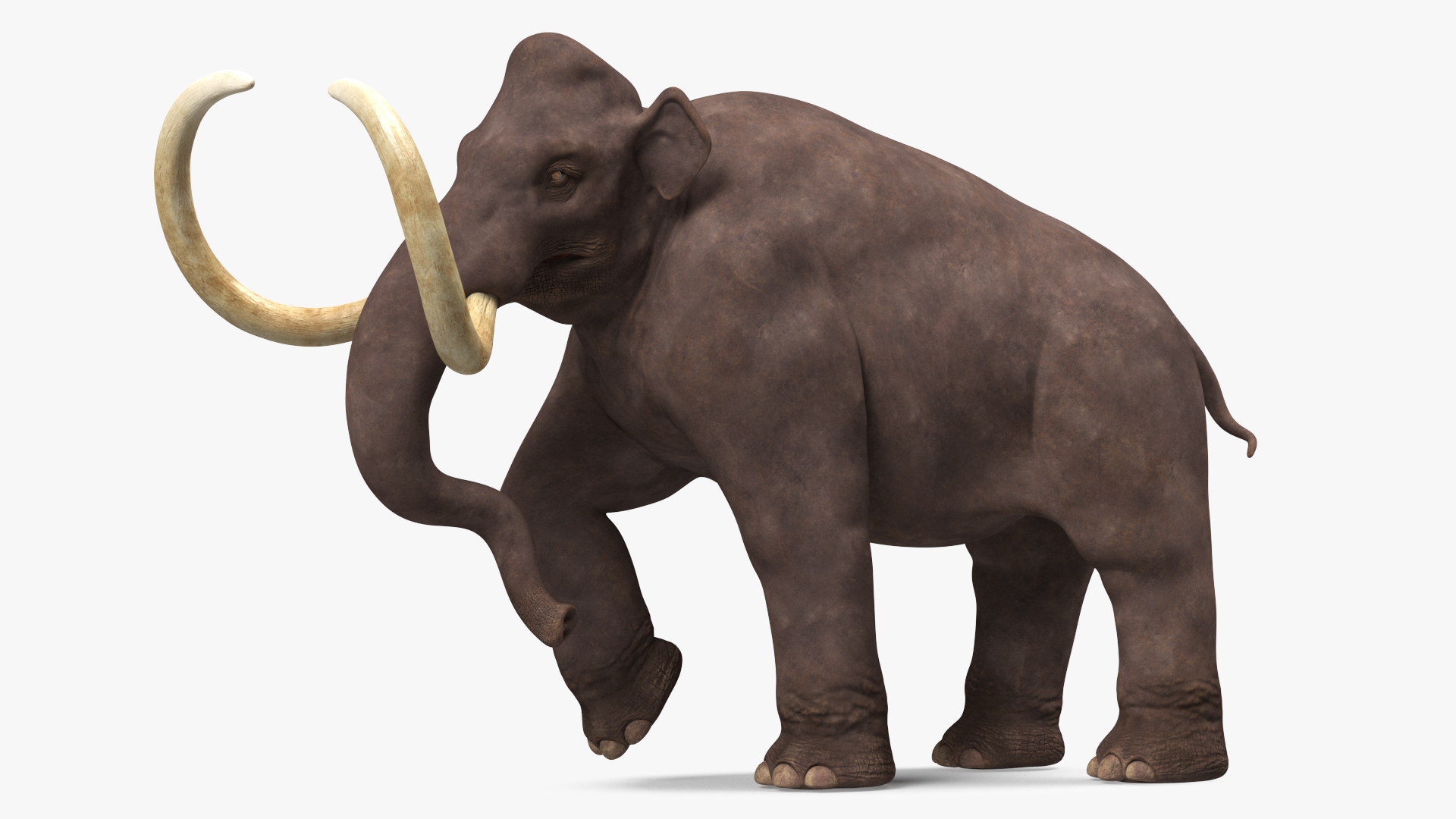 3D model Mammoth Walking Pose