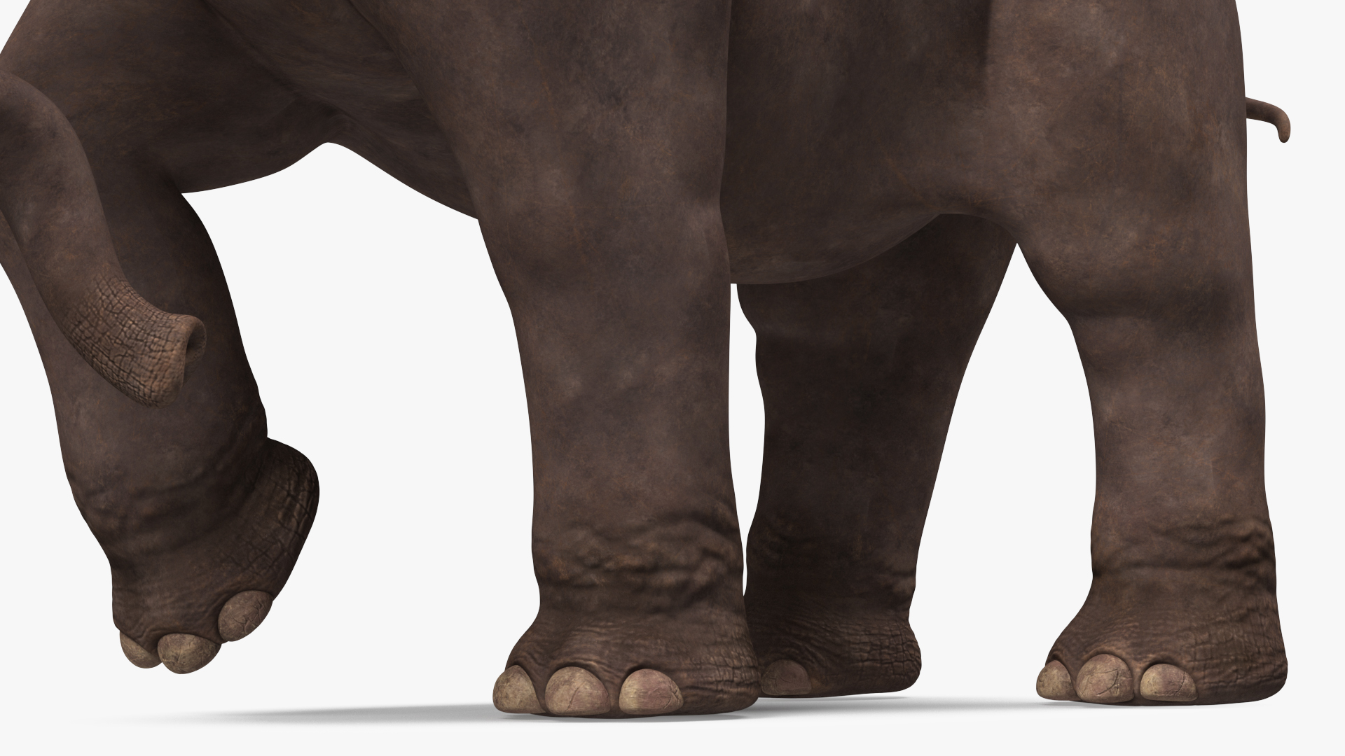 3D model Mammoth Walking Pose