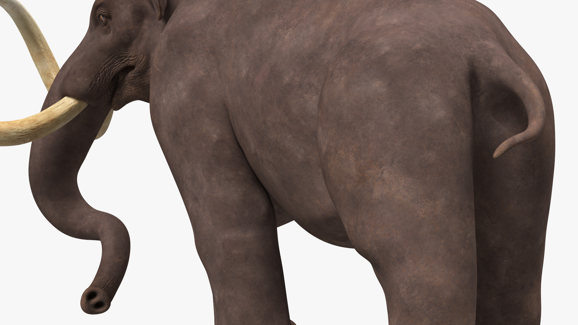 3D model Mammoth Walking Pose