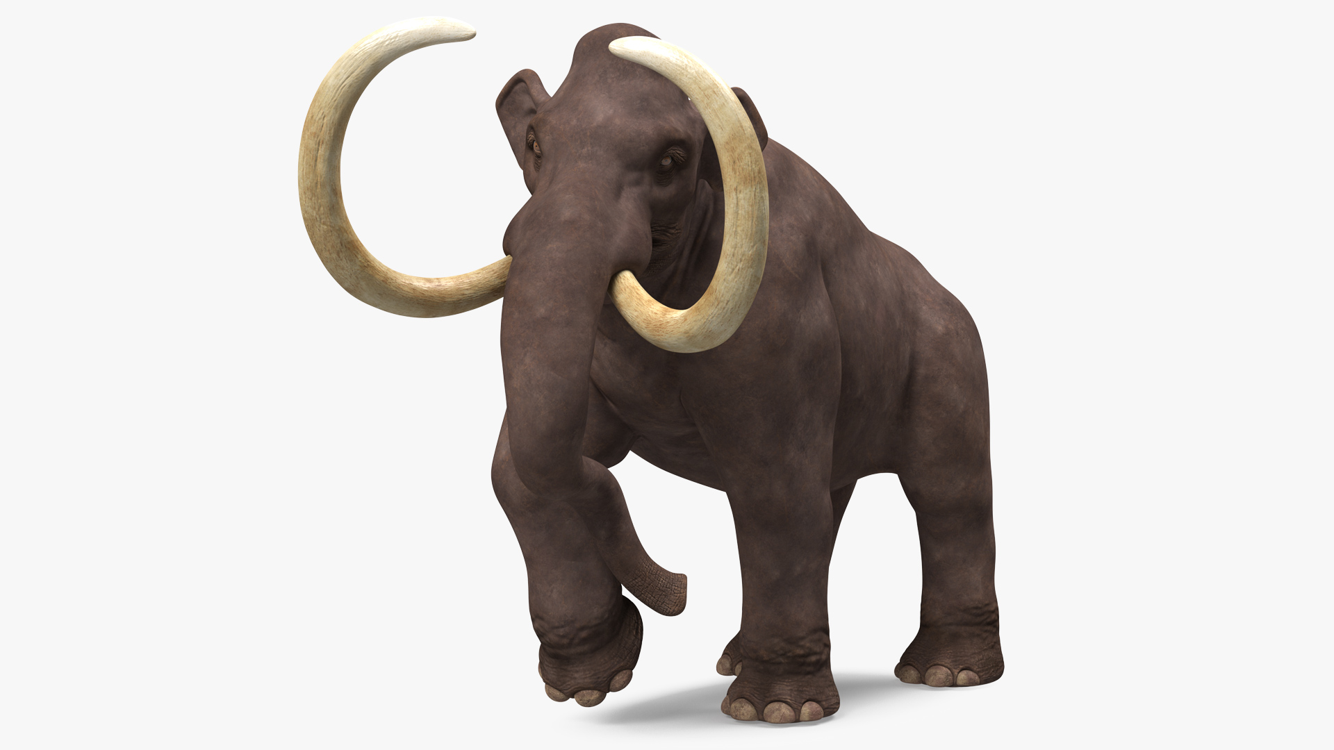3D model Mammoth Walking Pose