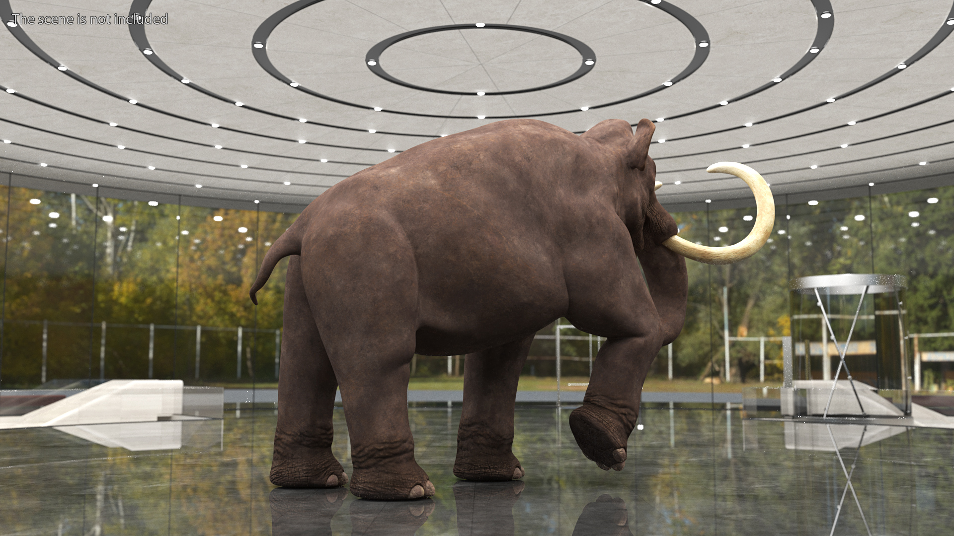 3D model Mammoth Walking Pose