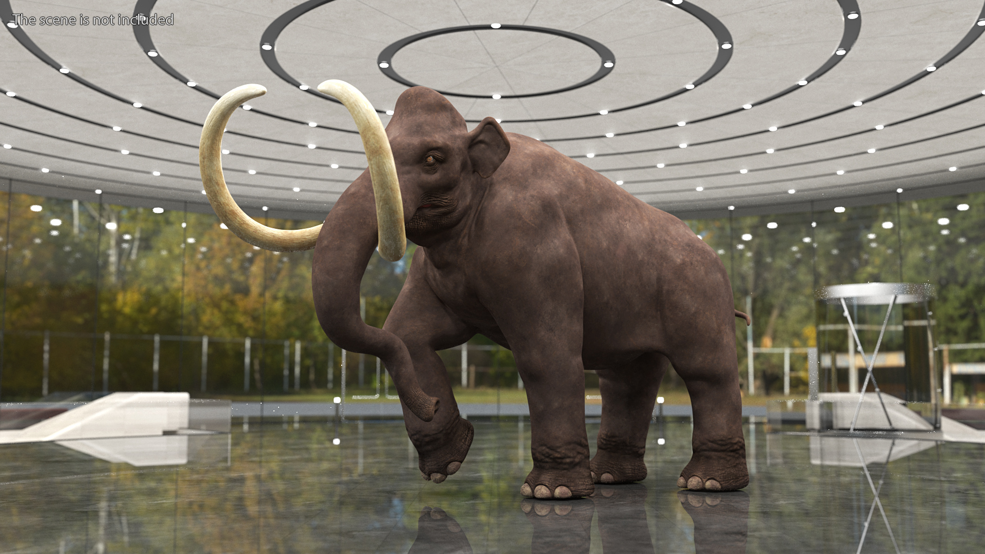 3D model Mammoth Walking Pose