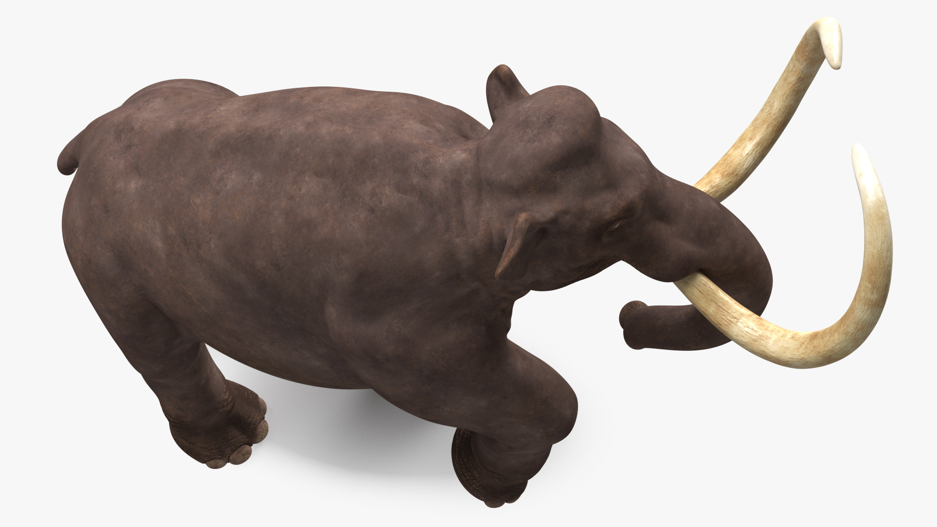 3D model Mammoth Walking Pose