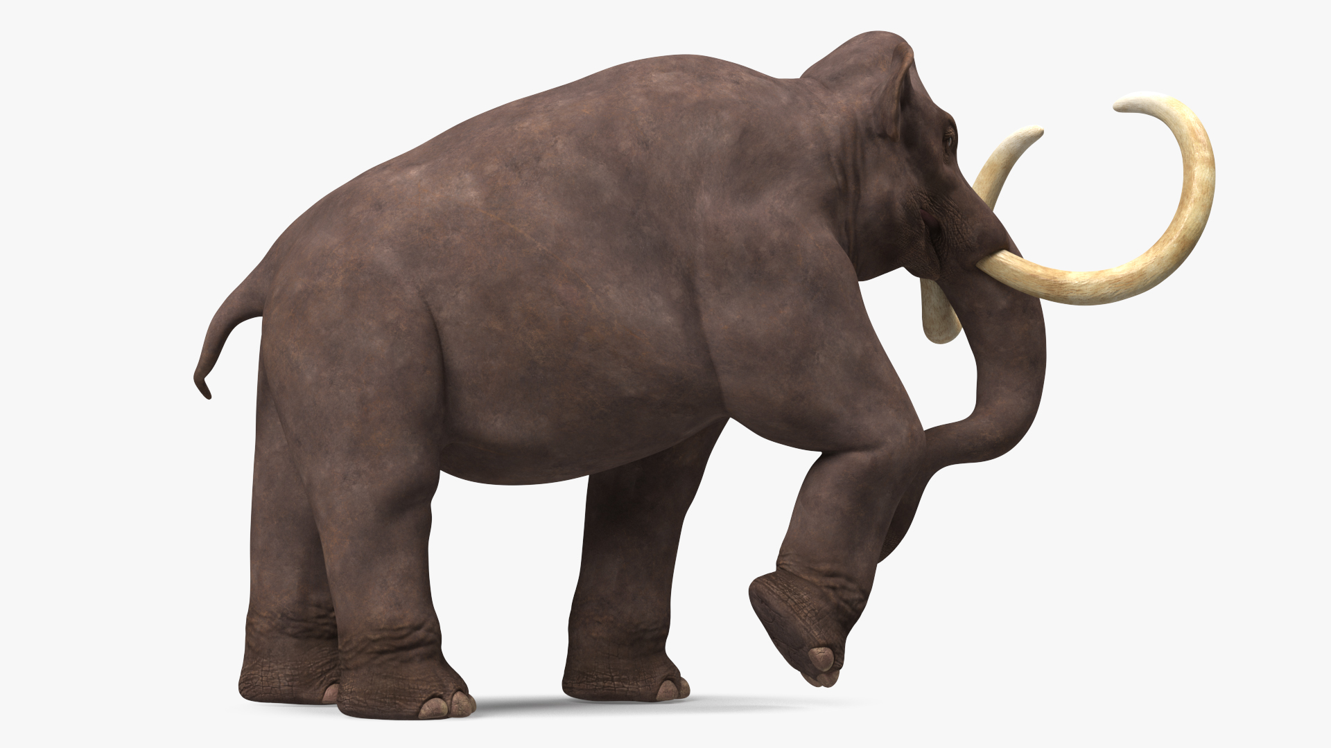 3D model Mammoth Walking Pose