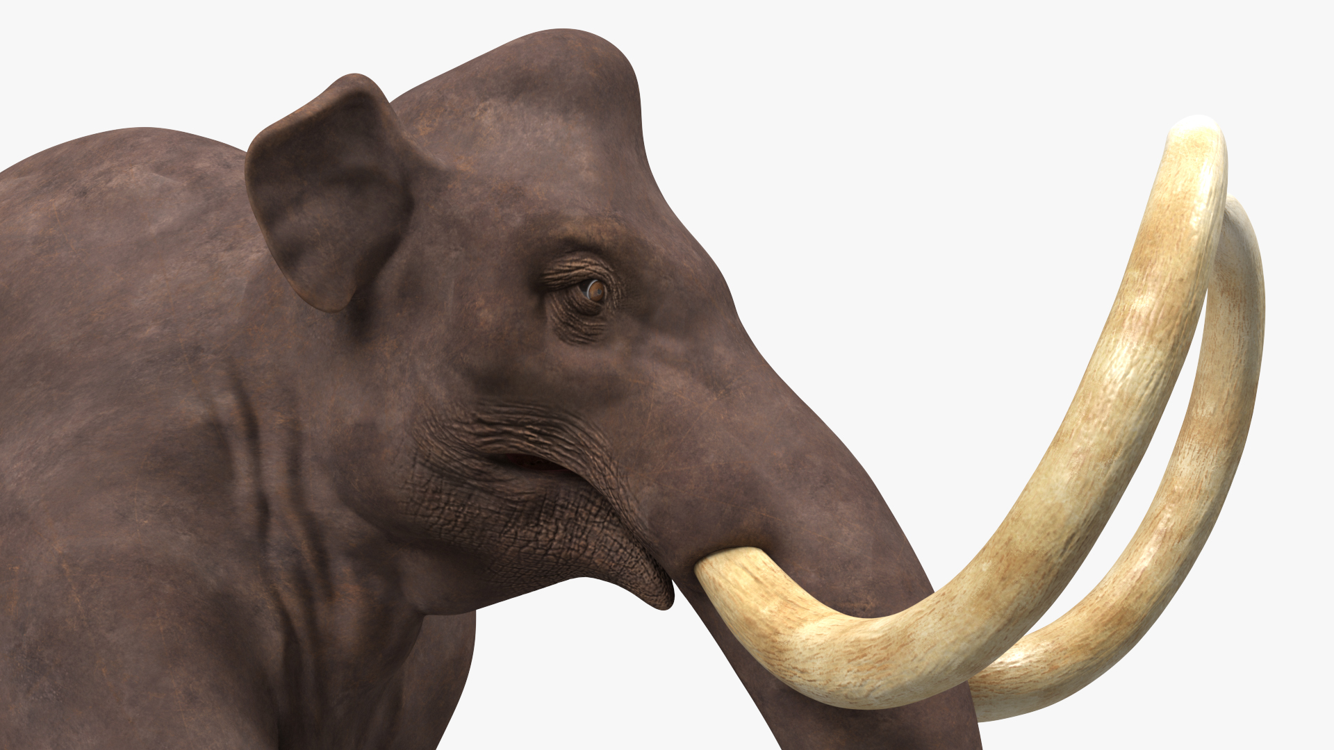 3D model Mammoth Walking Pose