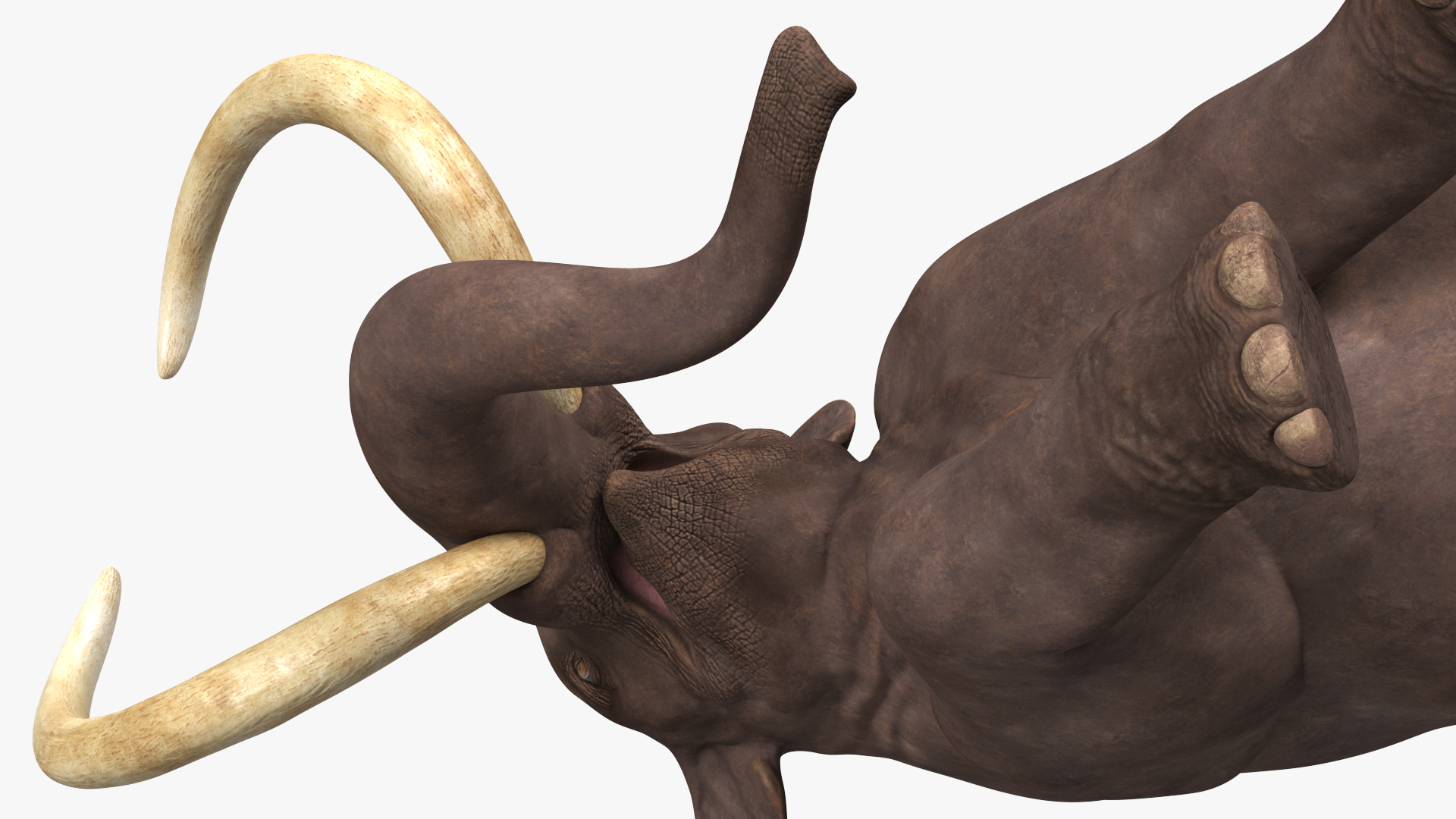 3D model Mammoth Walking Pose