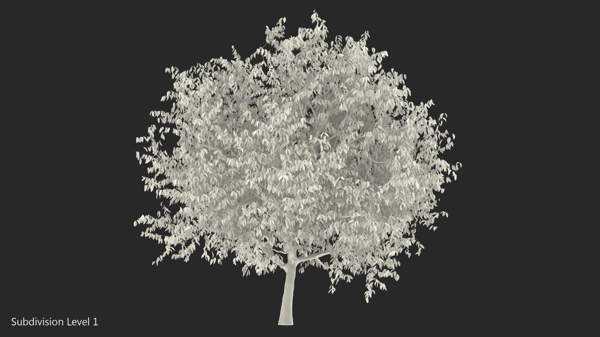 3D Autumn Cherry Tree model