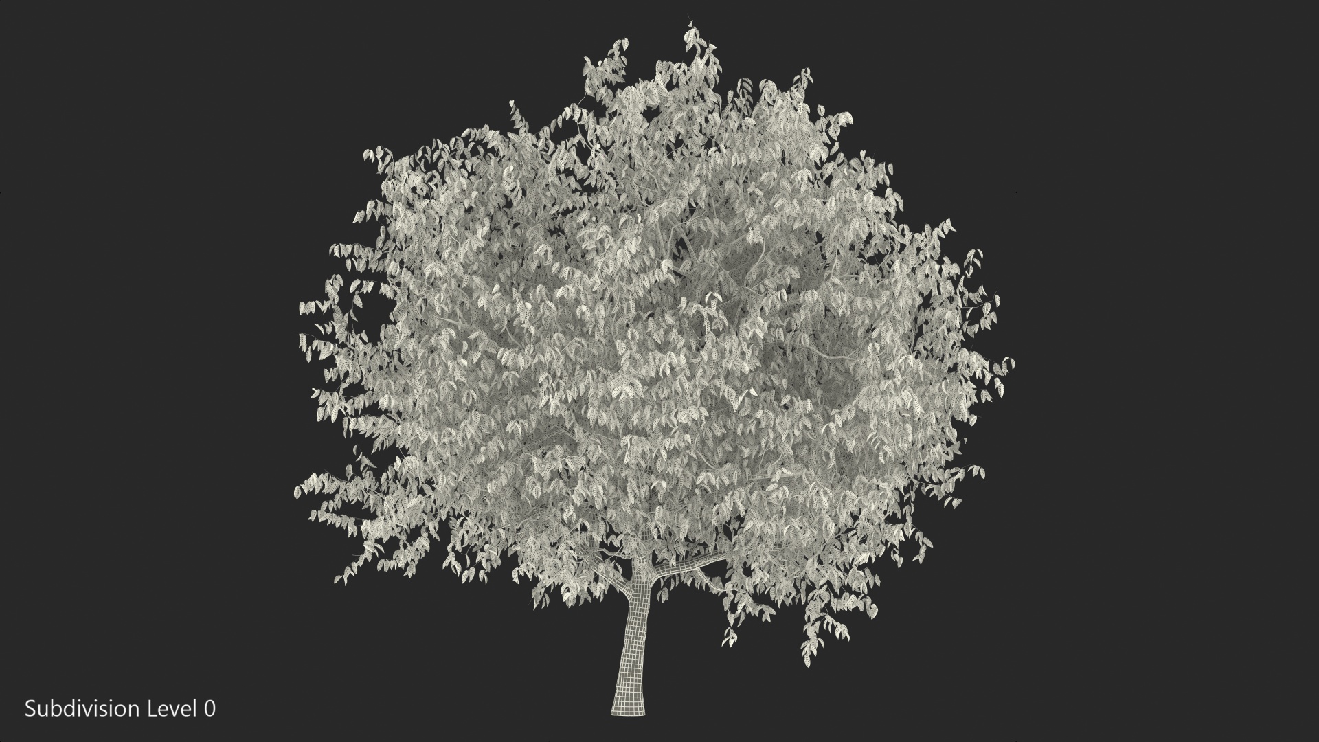 3D Autumn Cherry Tree model