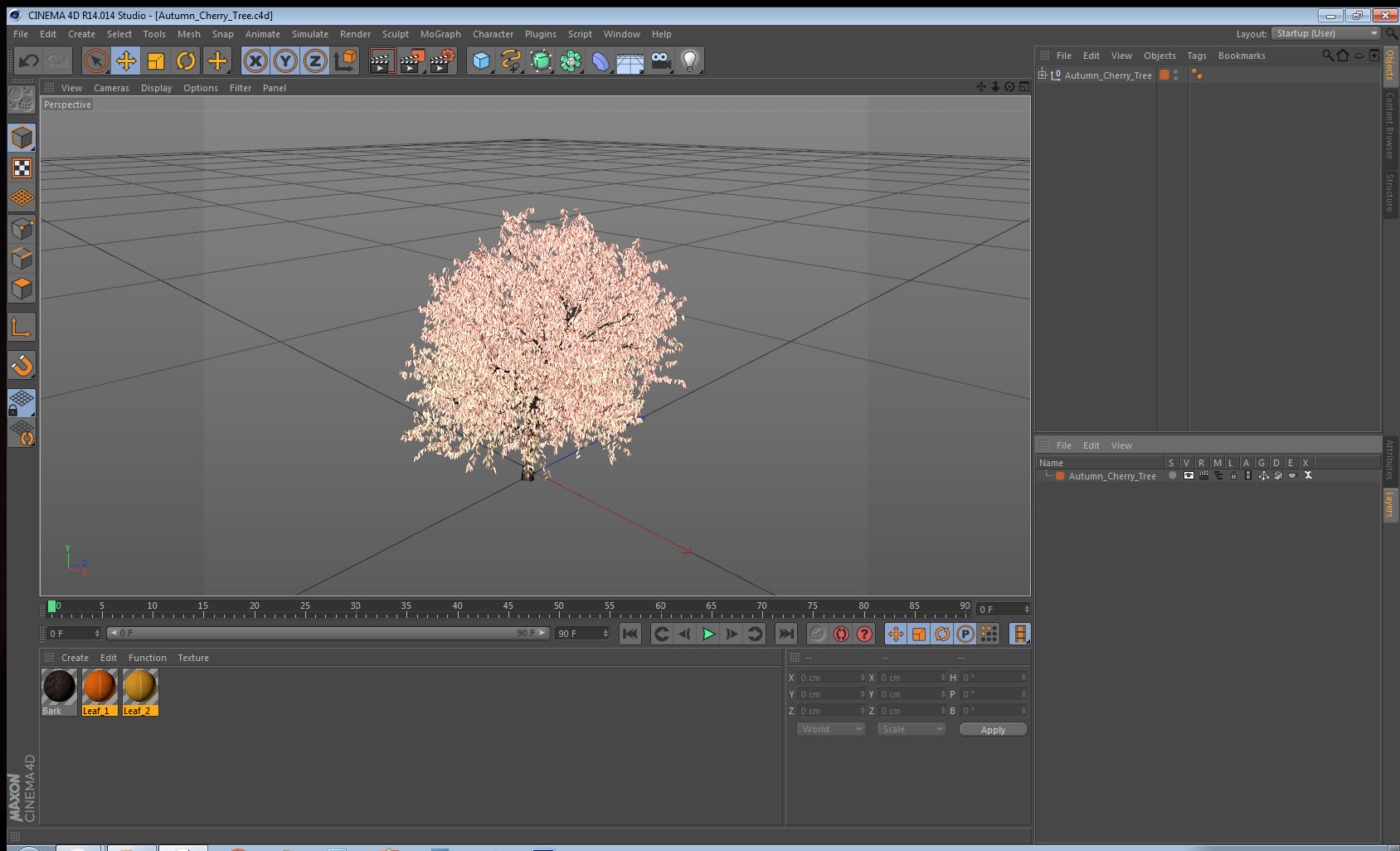 3D Autumn Cherry Tree model