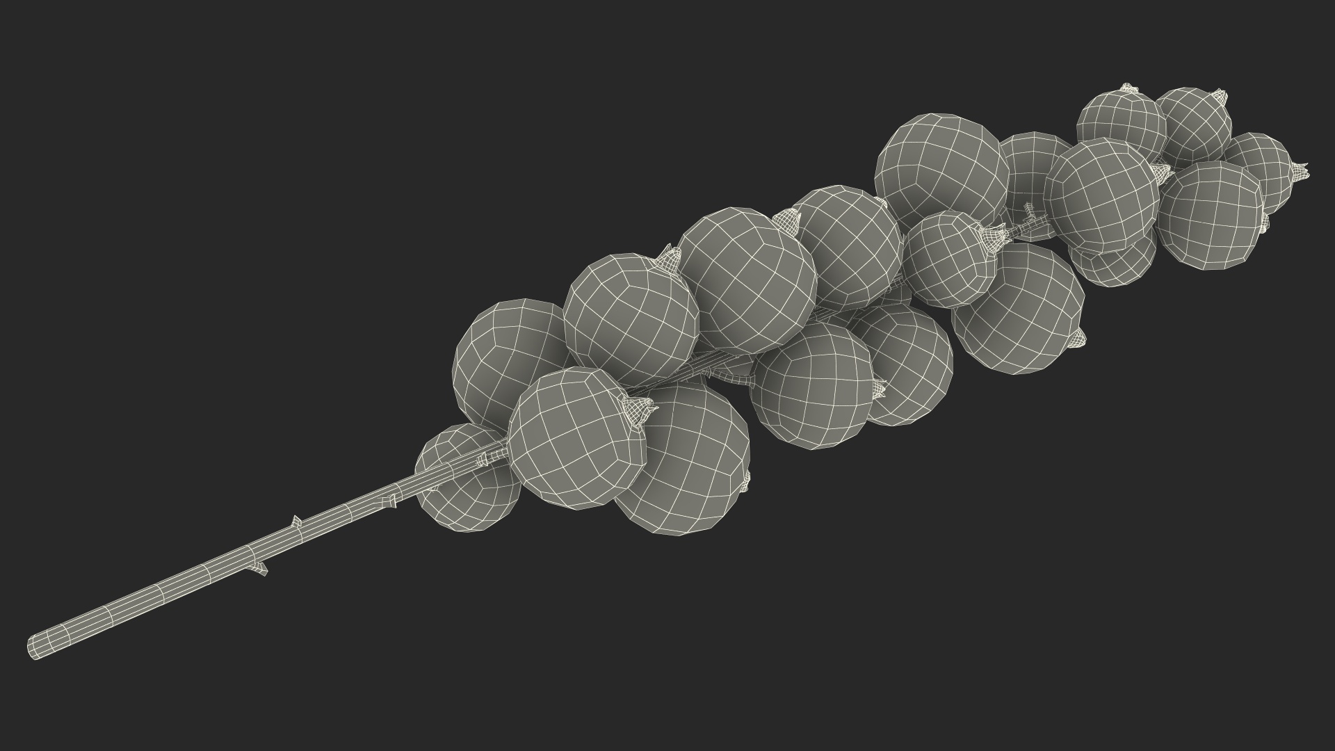 Red Currant on Stem 3D model