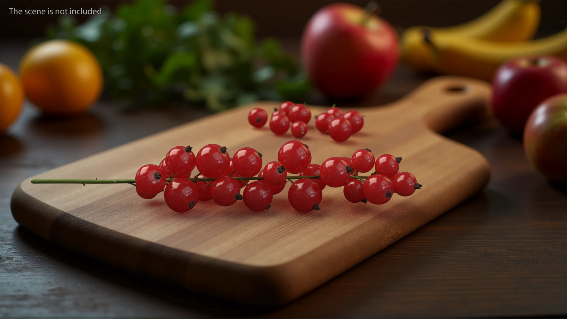 Red Currant on Stem 3D model