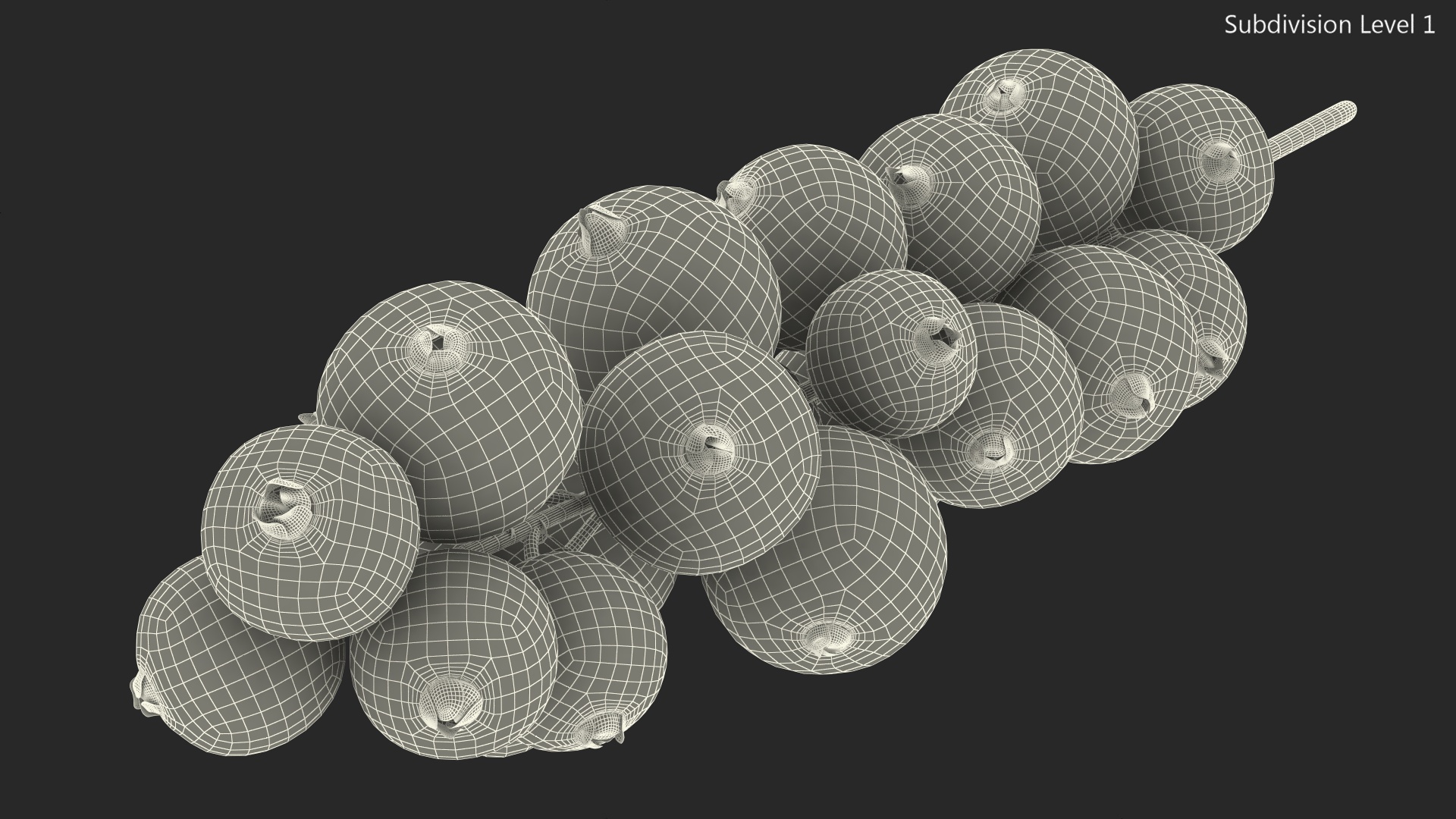 Red Currant on Stem 3D model