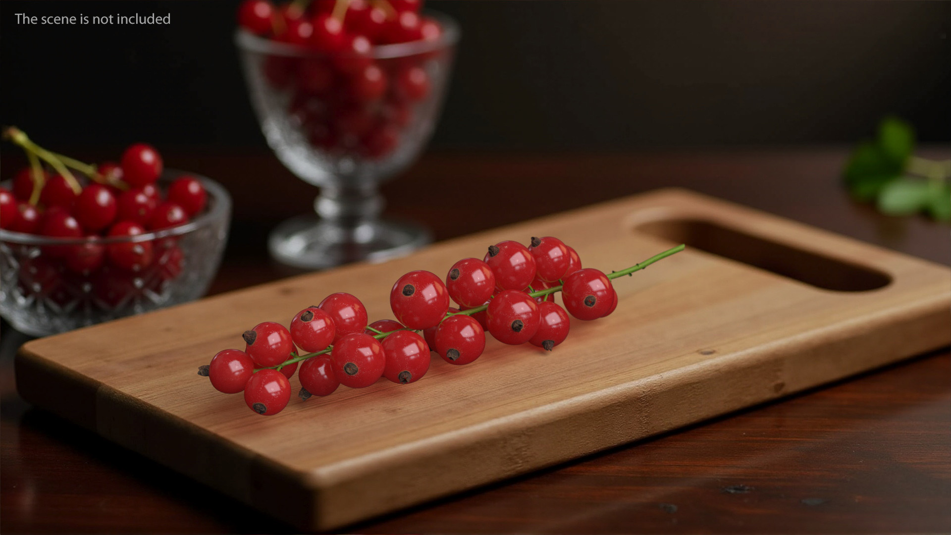 Red Currant on Stem 3D model
