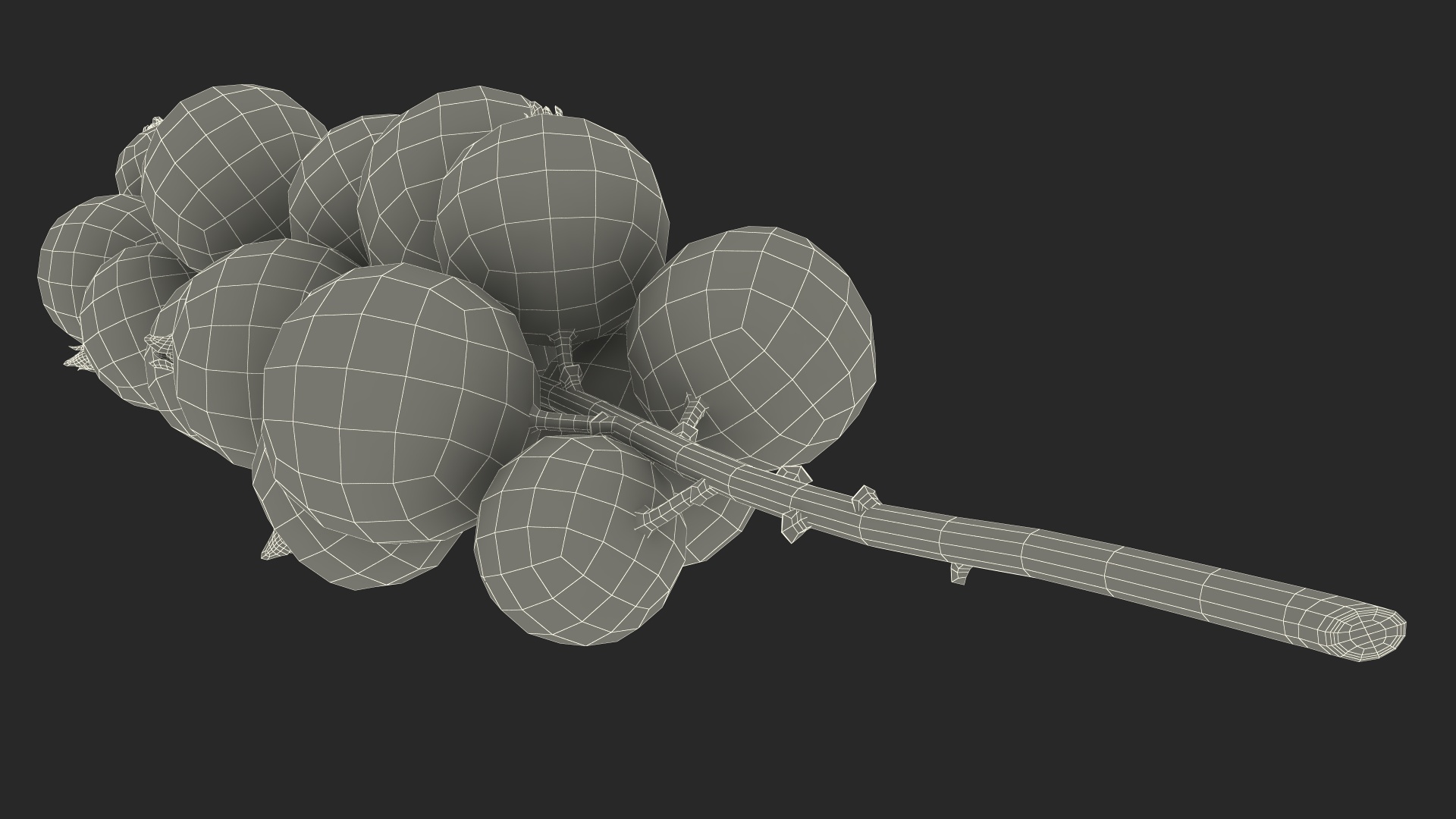 Red Currant on Stem 3D model
