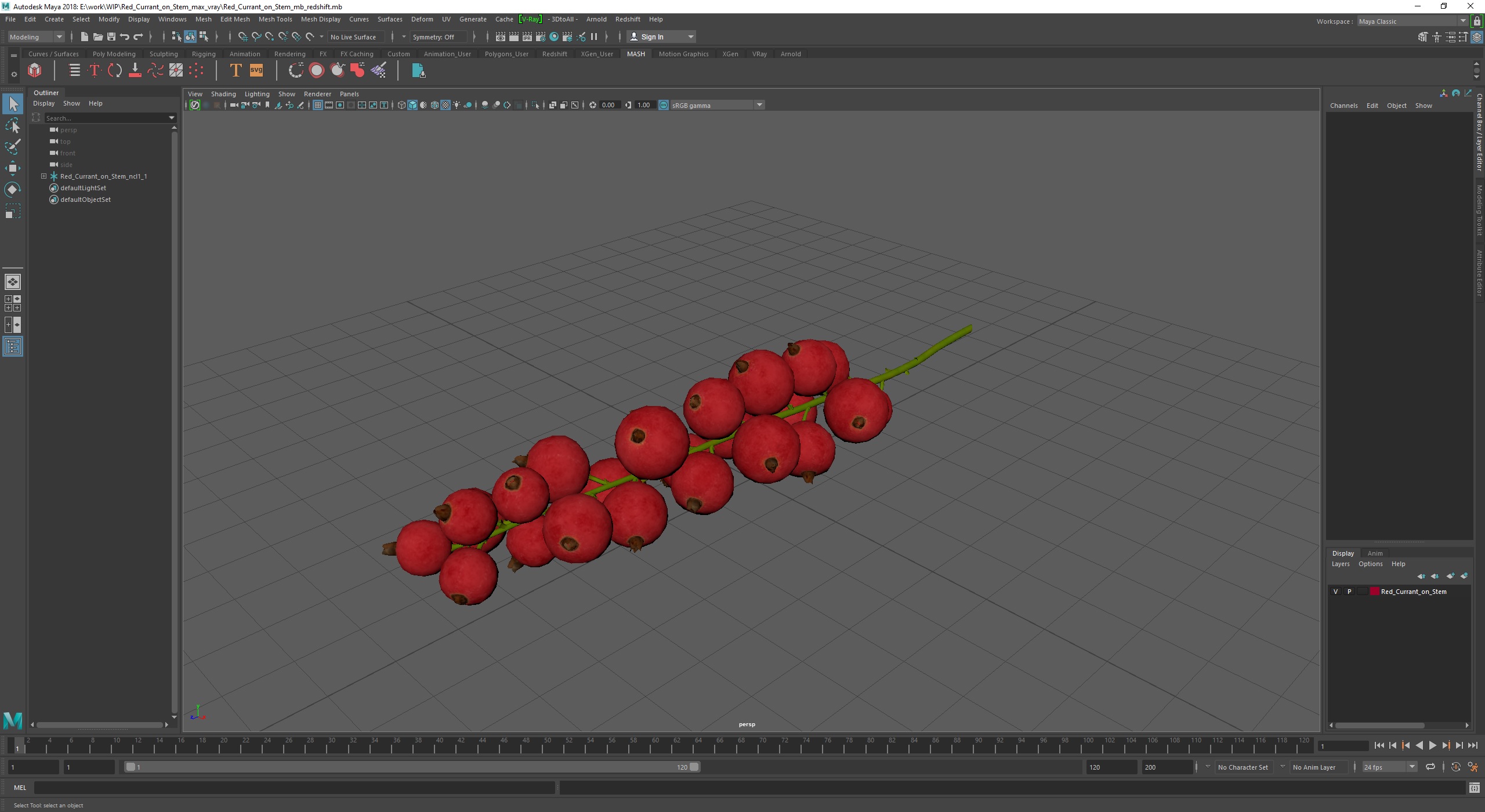 Red Currant on Stem 3D model