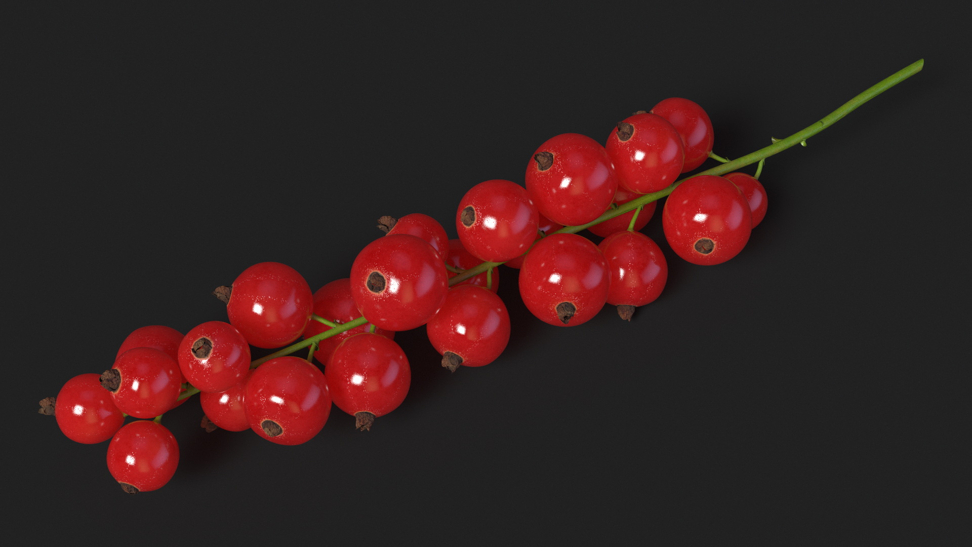 Red Currant on Stem 3D model