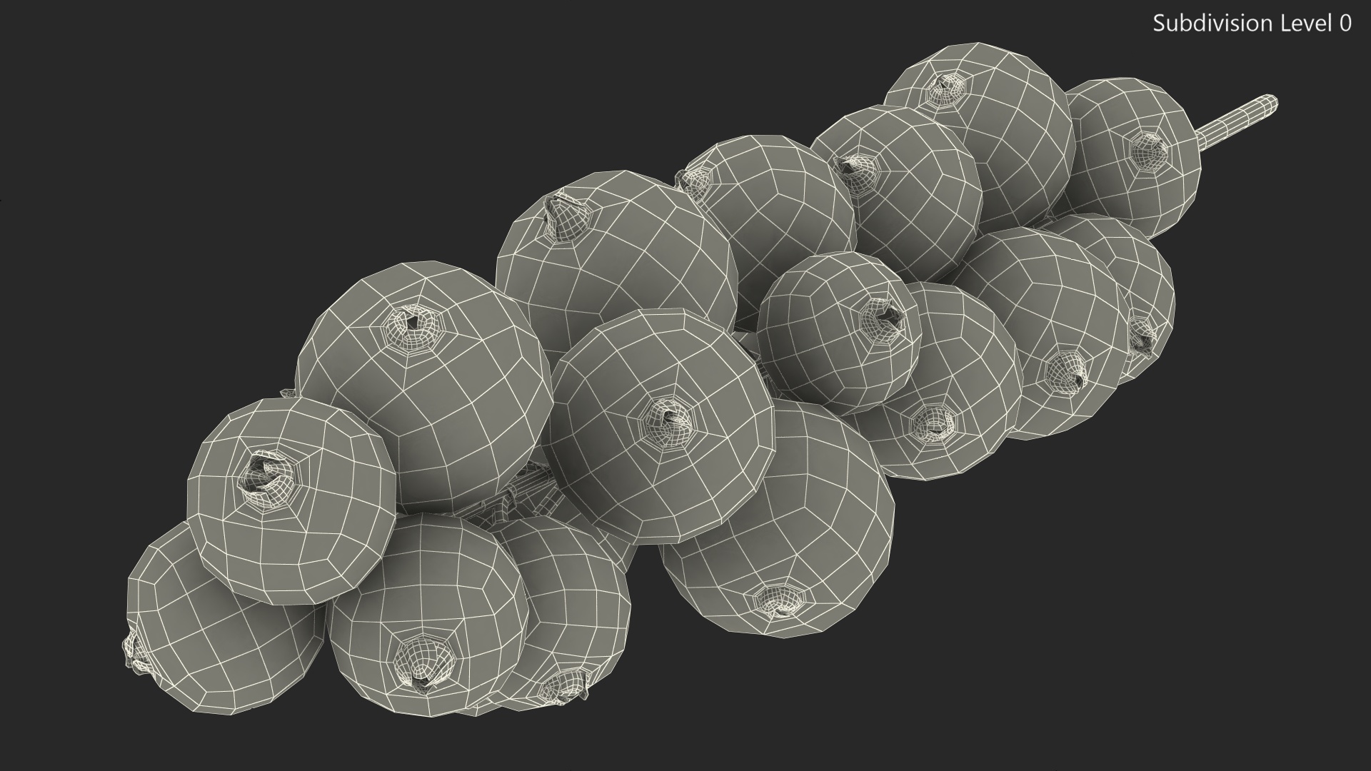 Red Currant on Stem 3D model