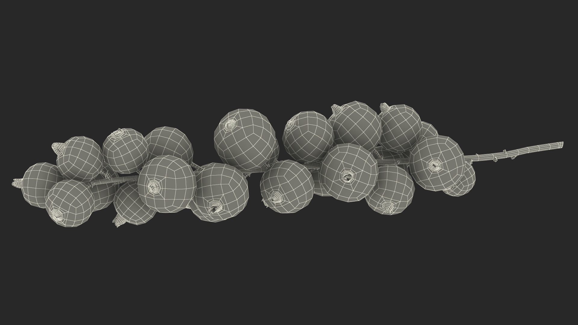 Red Currant on Stem 3D model