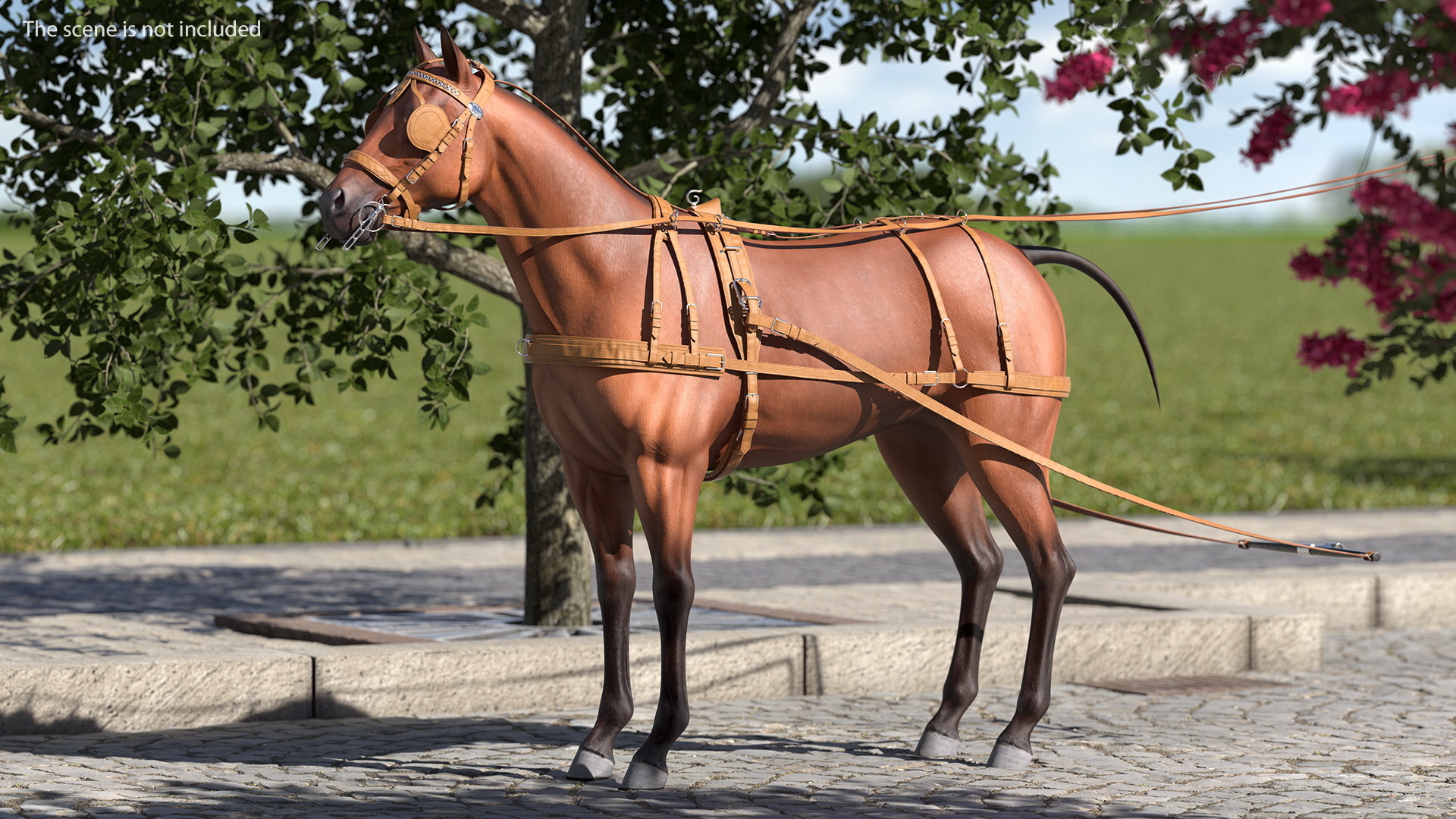 3D model Leather Single Driving Harness