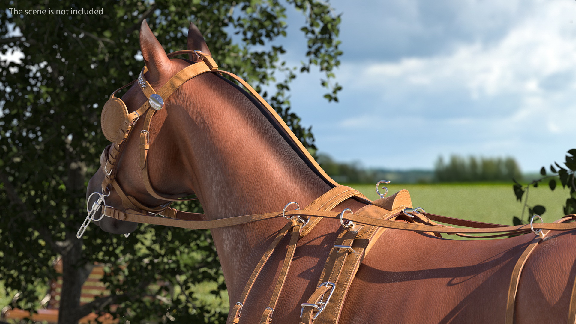 3D model Leather Single Driving Harness