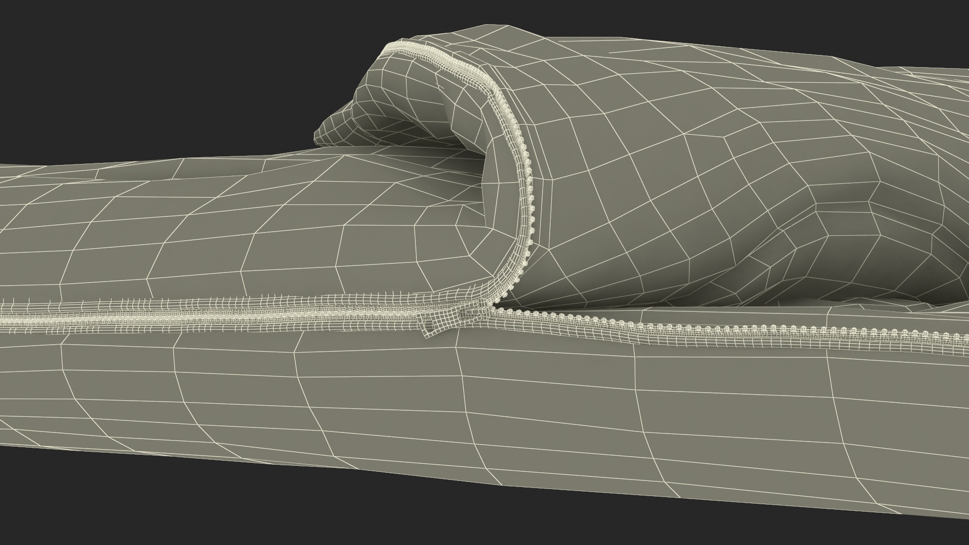 3D model Camping Sleeping Bag