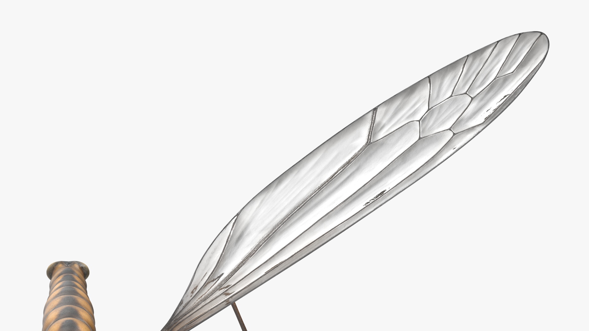 3D Mosquito Hawk Crane Fly Gollywhopper