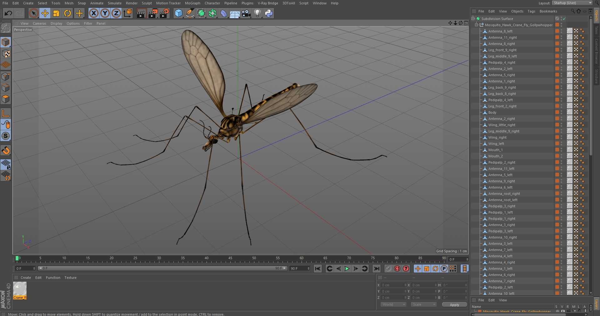 3D Mosquito Hawk Crane Fly Gollywhopper