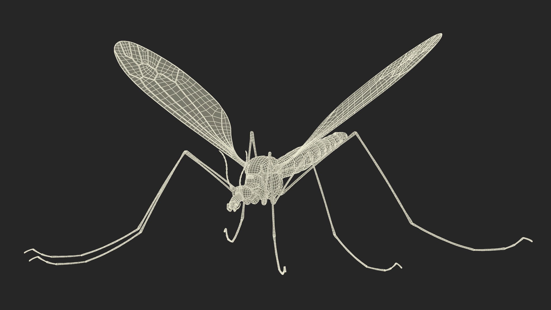 3D Mosquito Hawk Crane Fly Gollywhopper