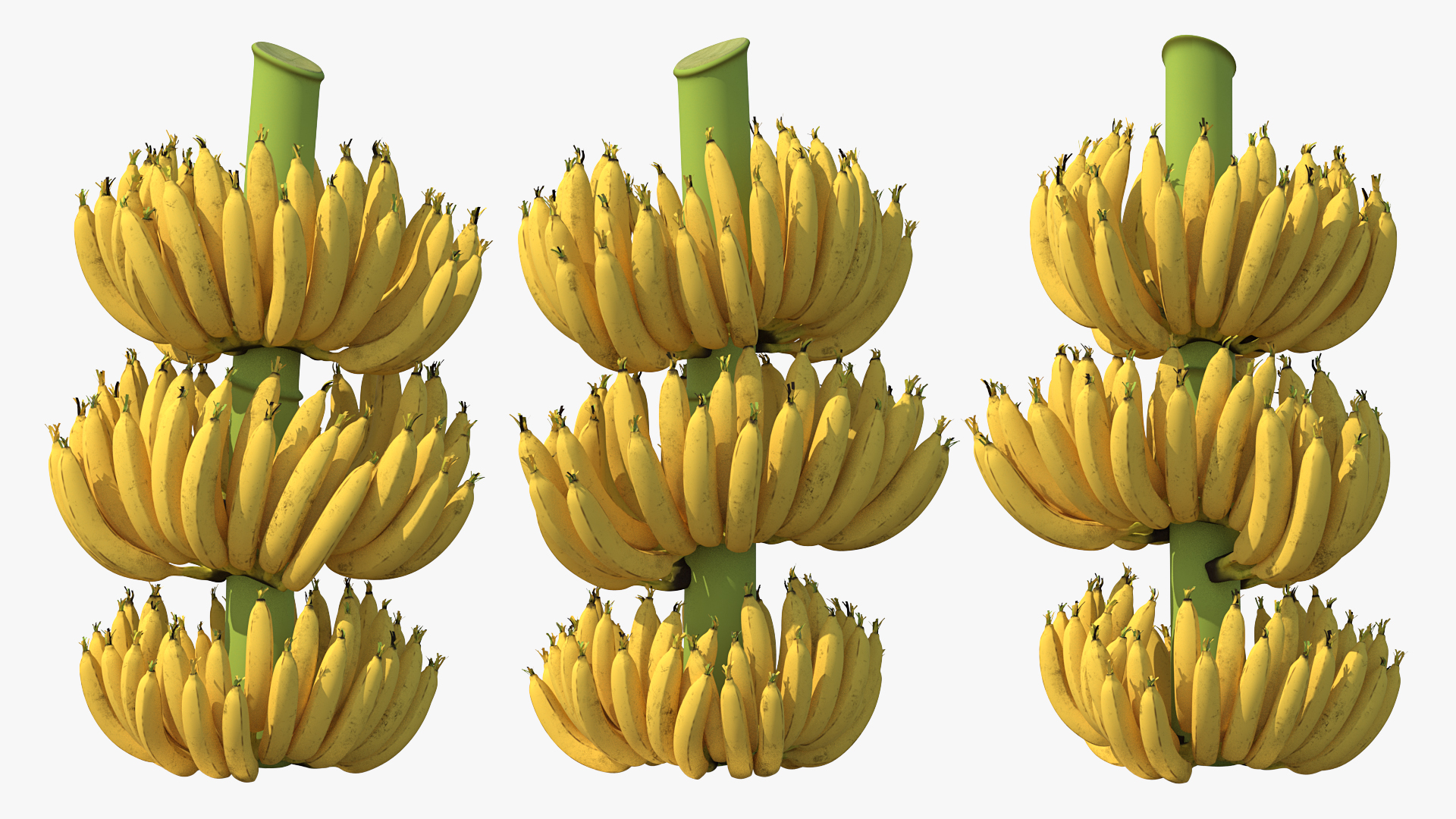 3D Ripe Yellow Banana Cluster