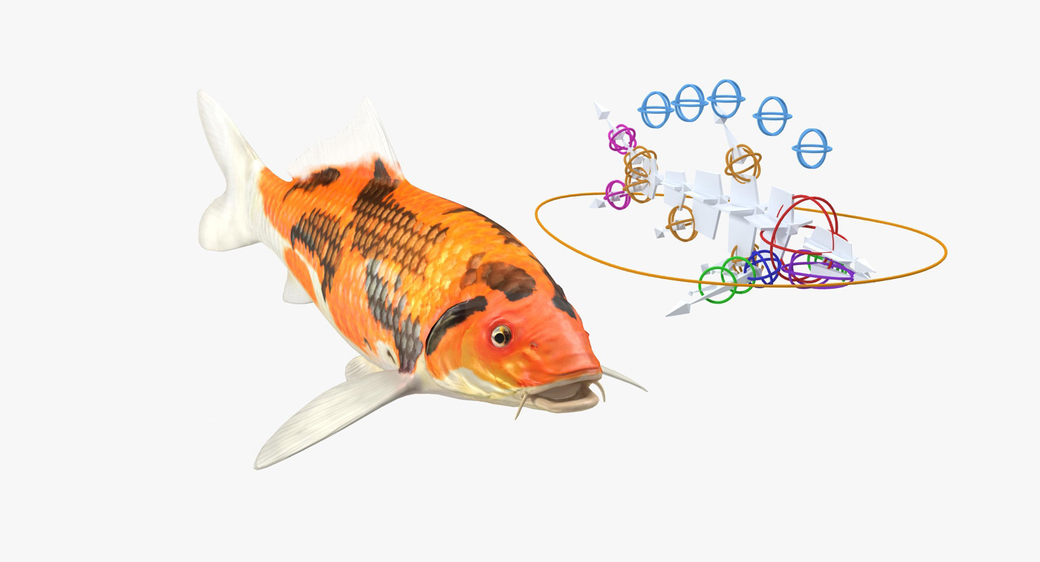 3D model Koi Fish Rigged