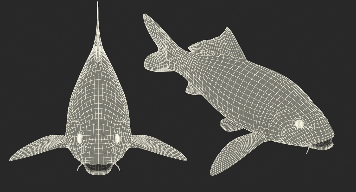 3D model Koi Fish Rigged