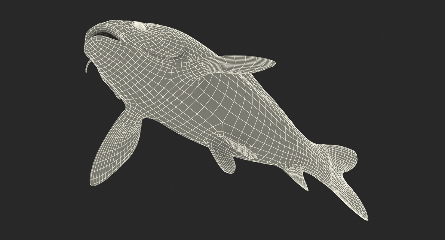 3D model Koi Fish Rigged