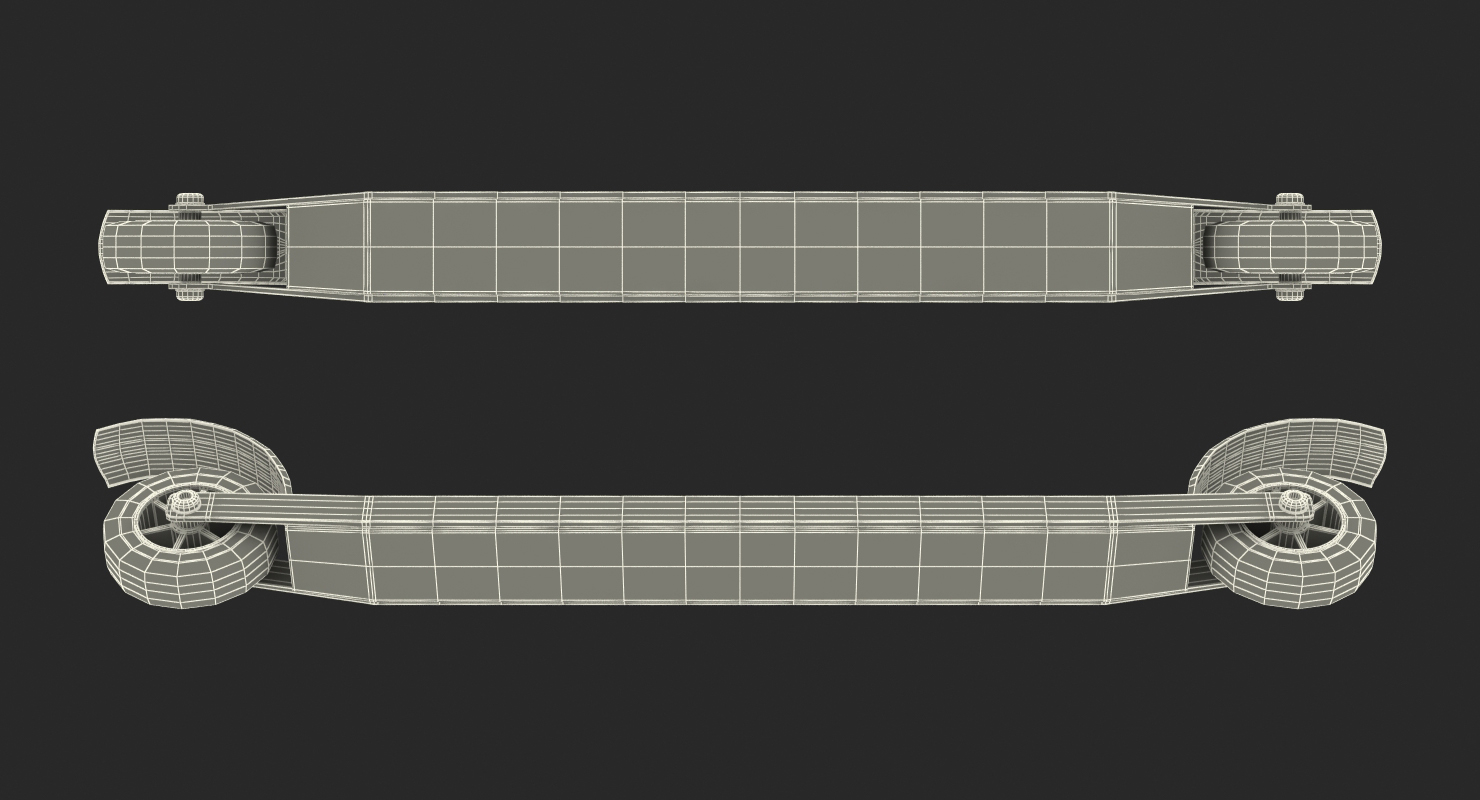 Skate Roller Skis 3D