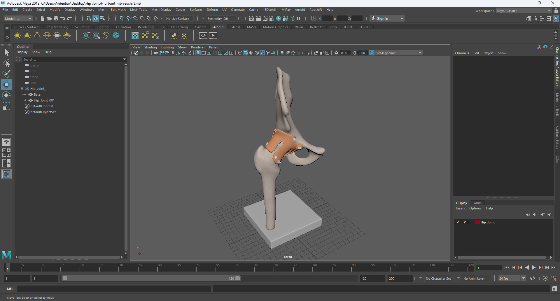 Hip Joint 3D model