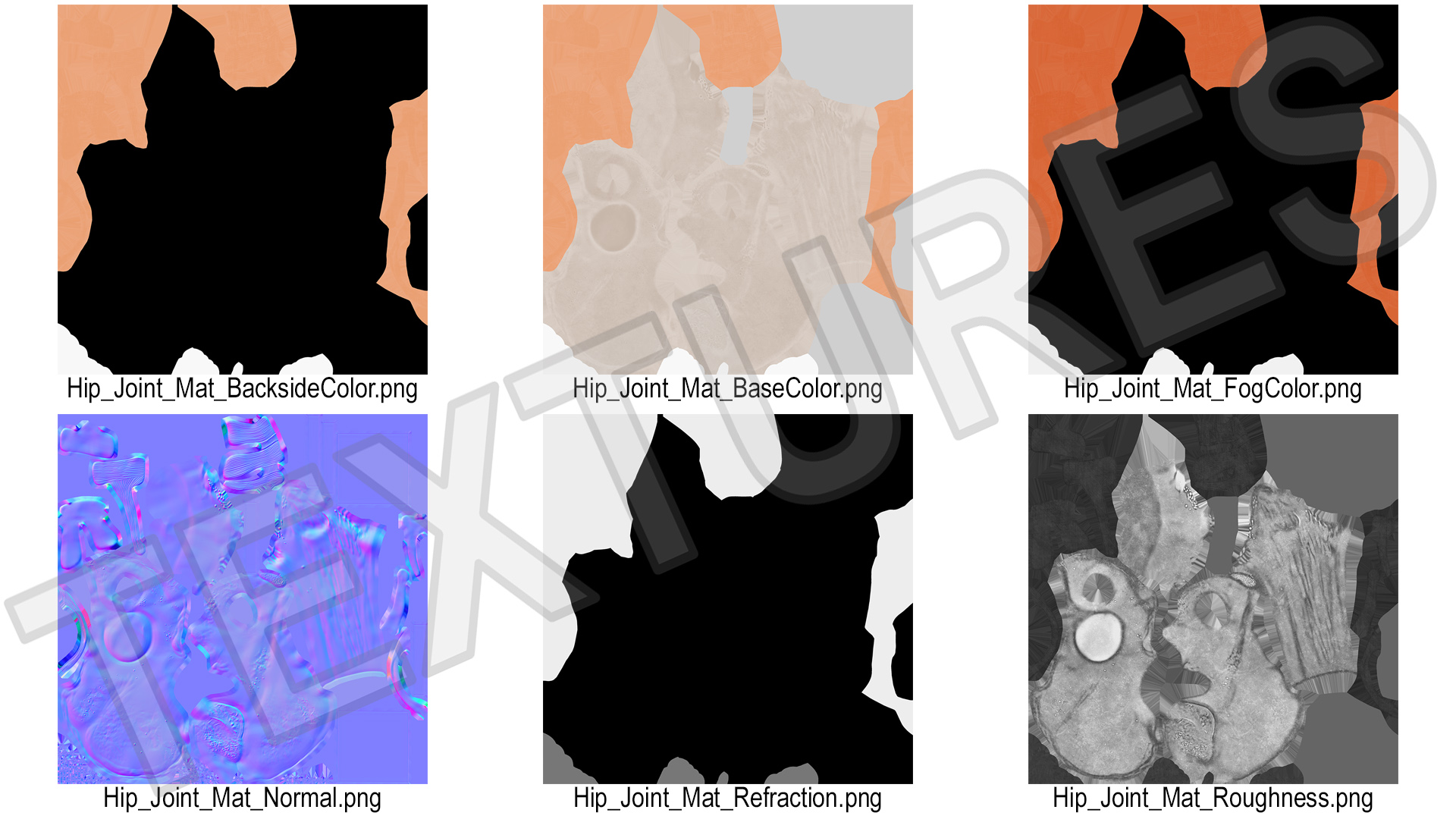 Hip Joint 3D model